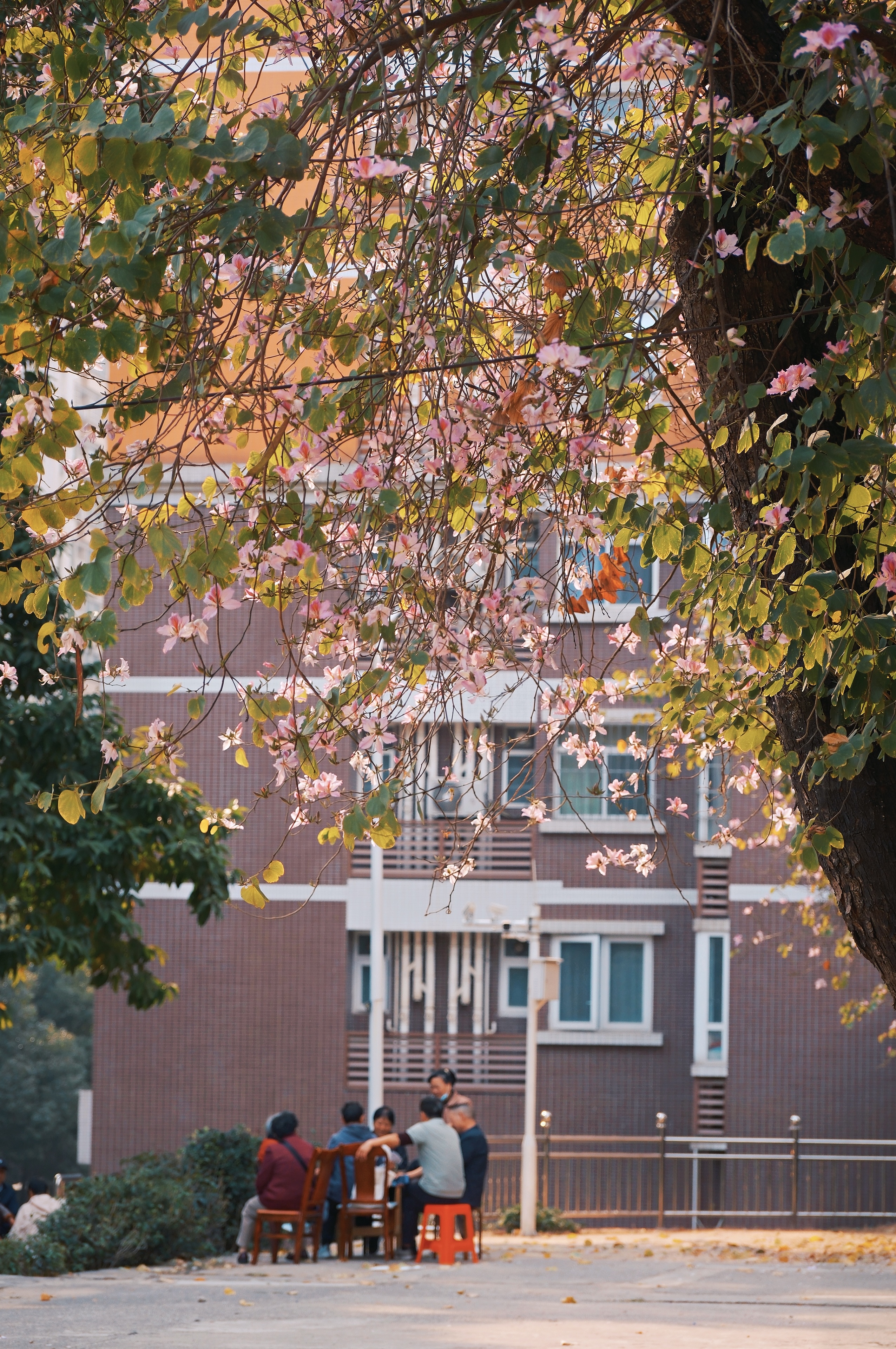 27 from the cities photography series.