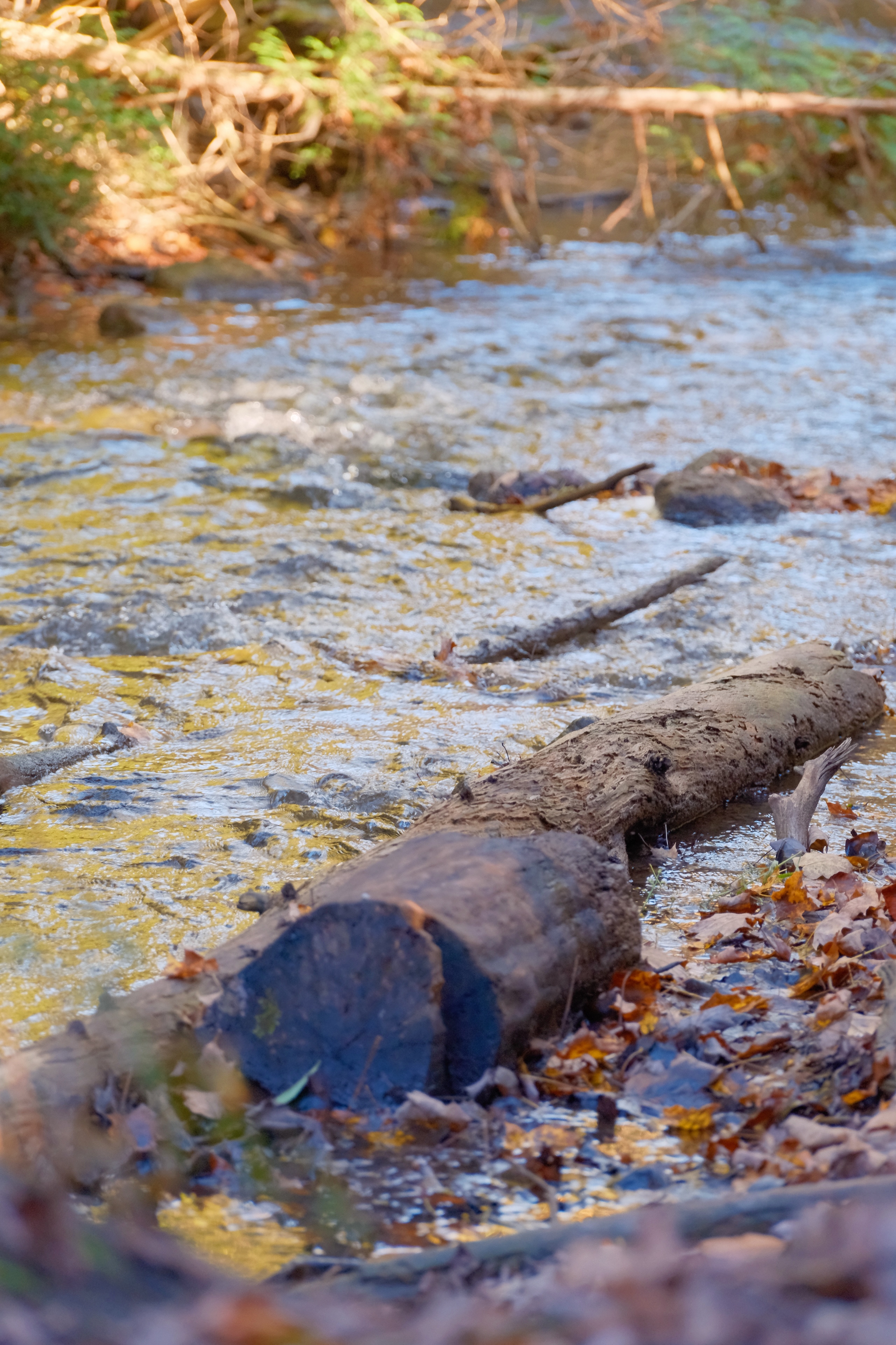 17 from the lakes photography series.