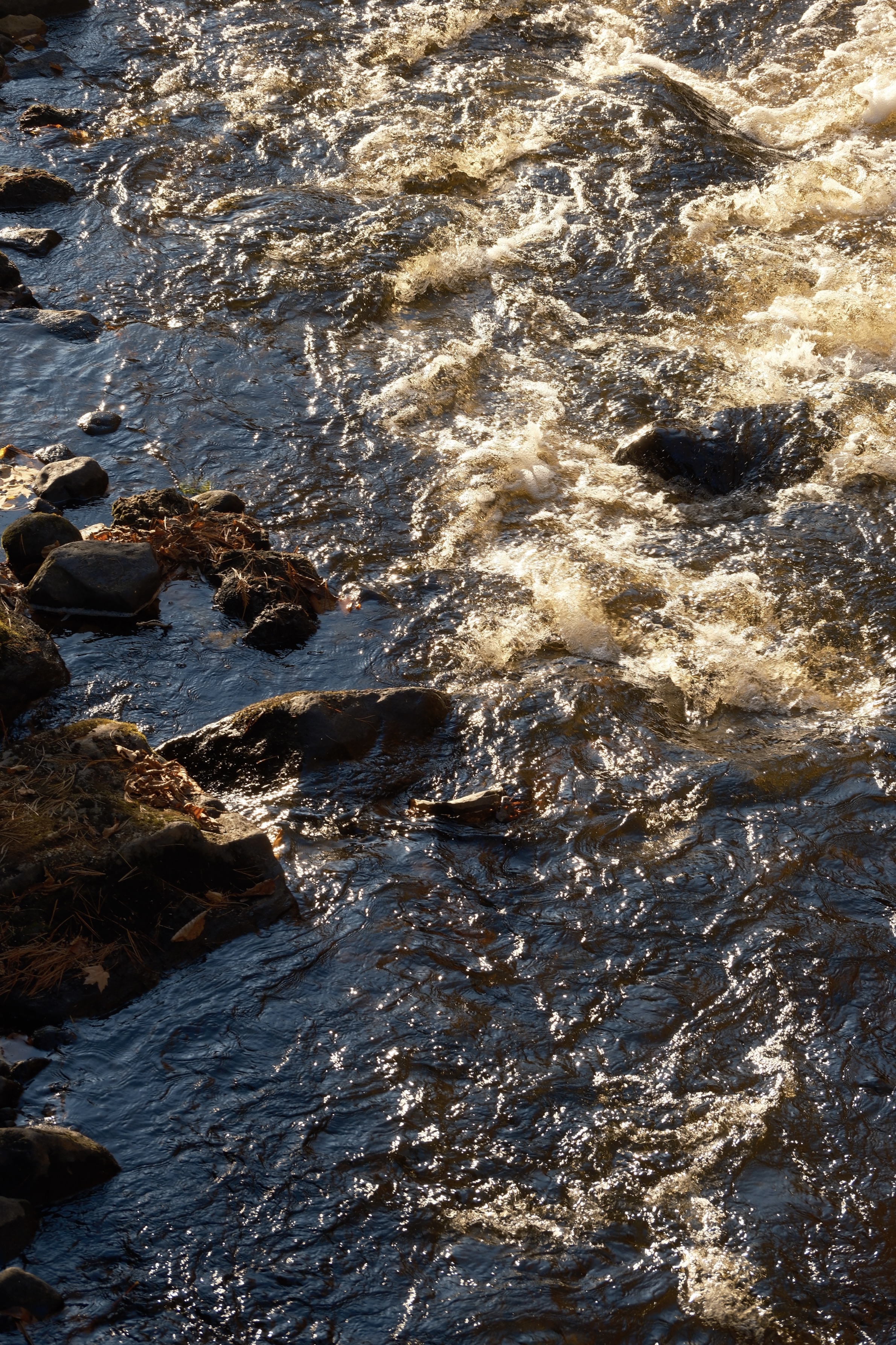 18 from the lakes photography series.