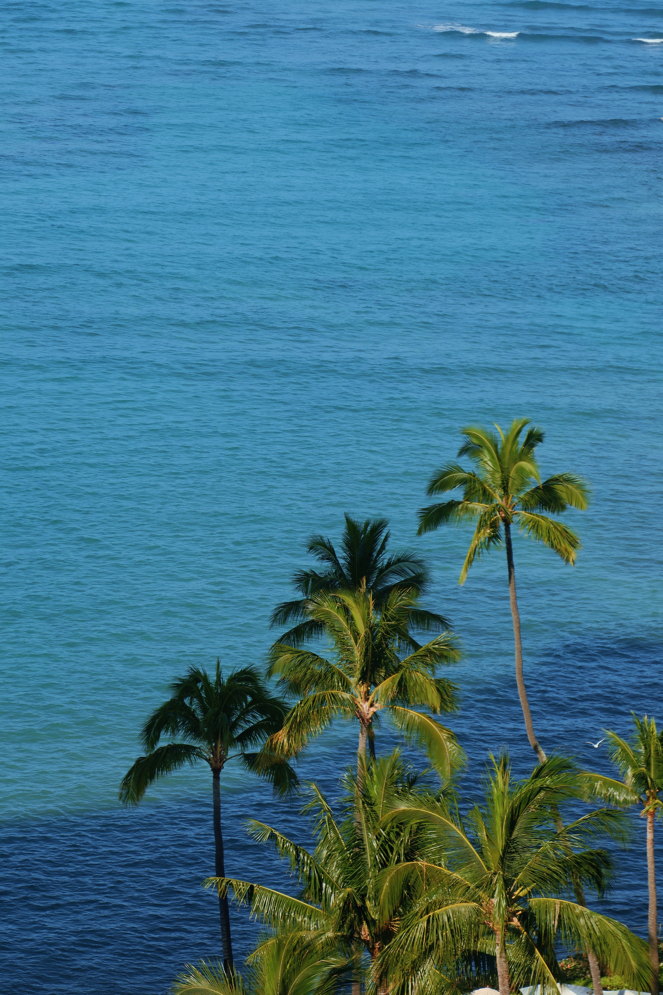 9 from the lakes photography series.