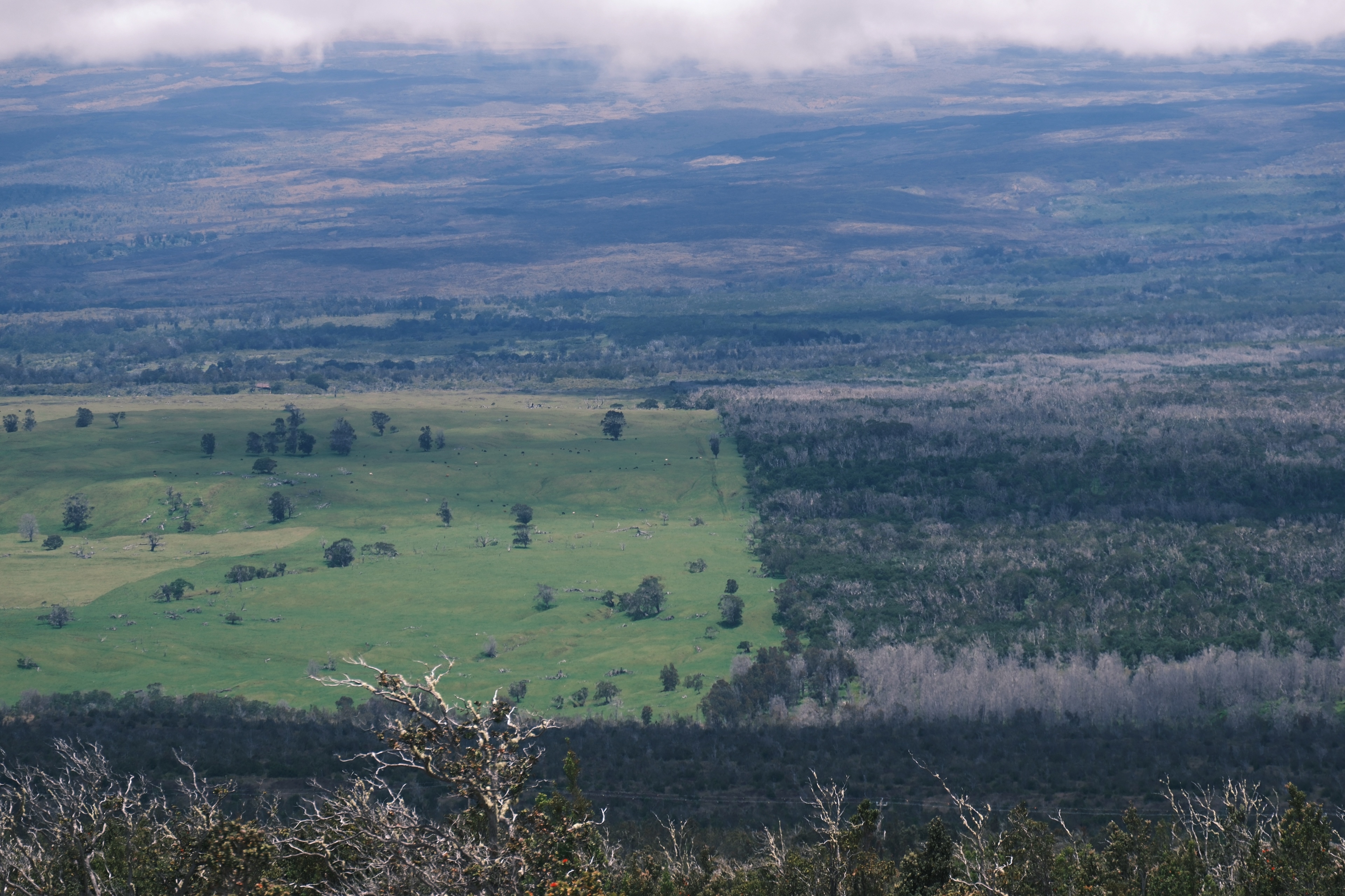 11 from the mountains photography series.