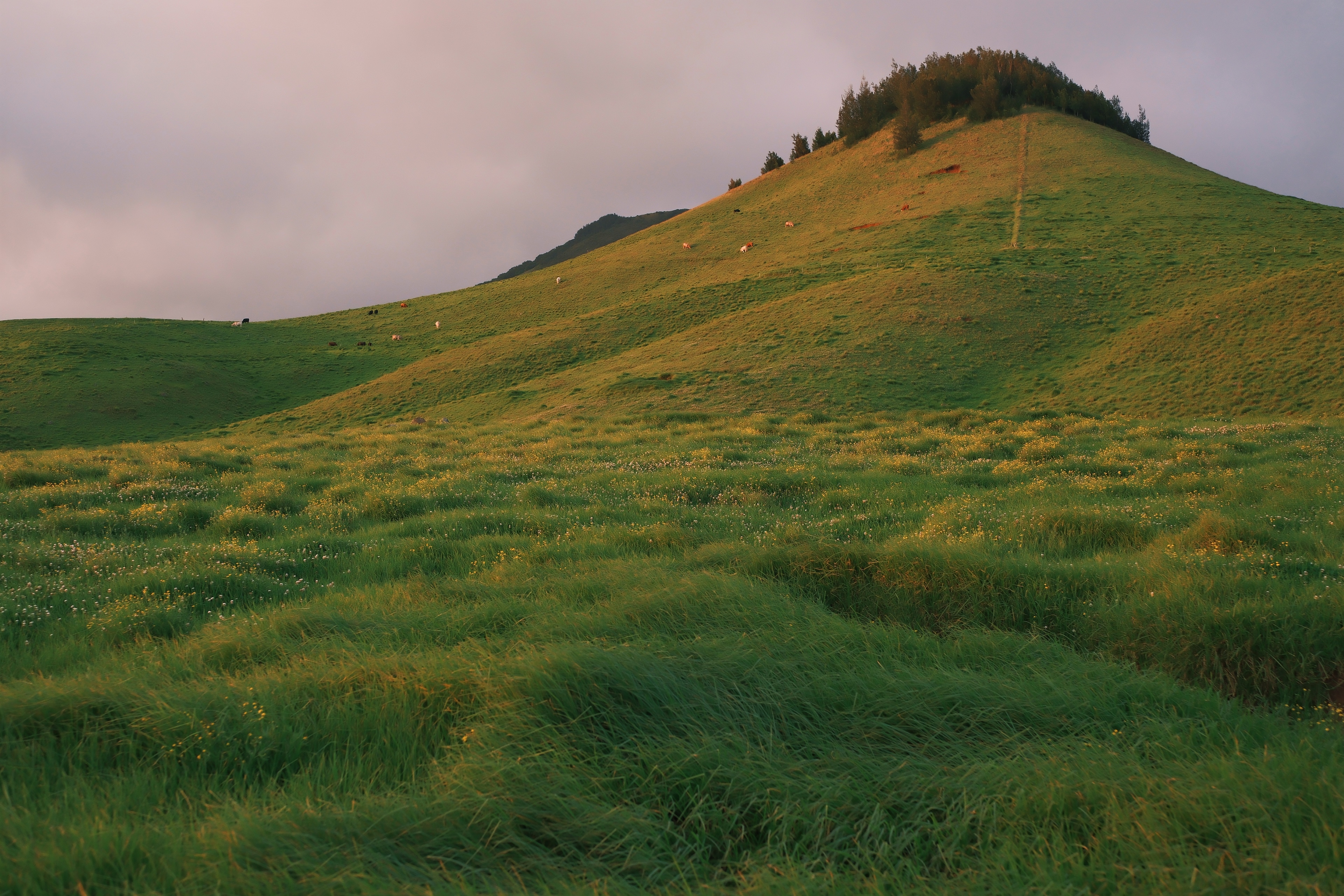 16 from the mountains photography series.