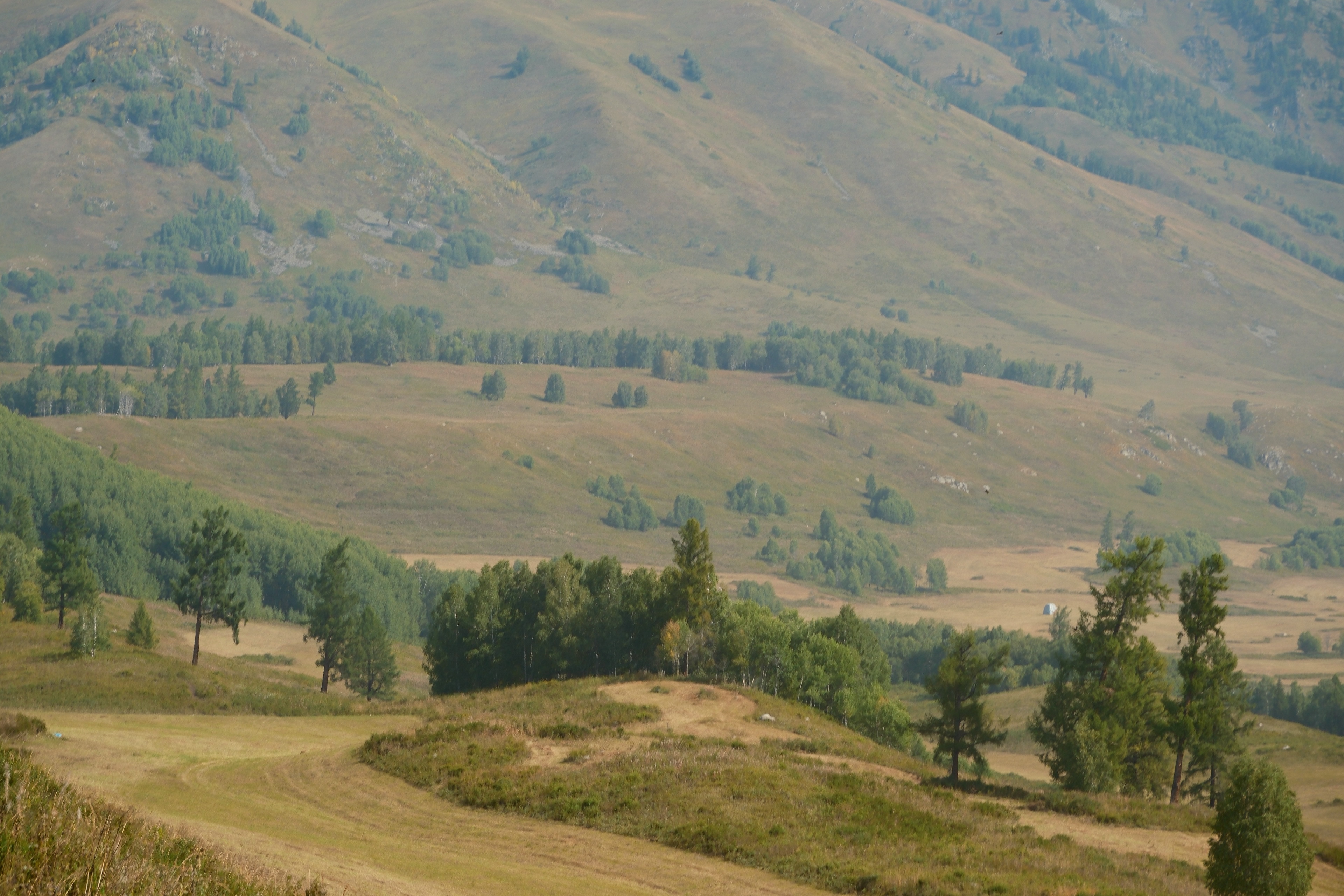 19 from the mountains photography series.