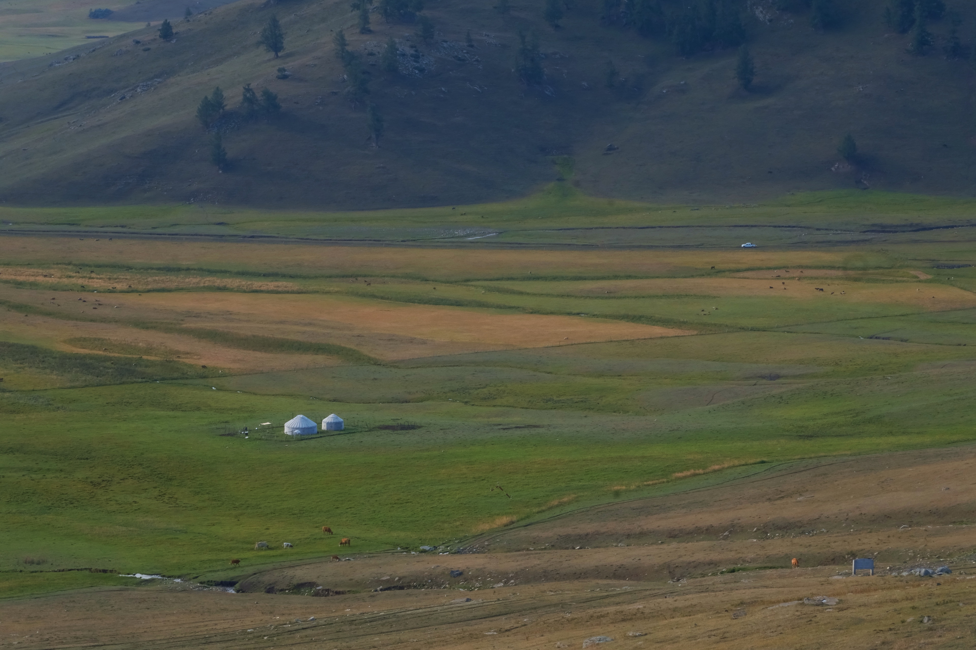 5 from the mountains photography series.