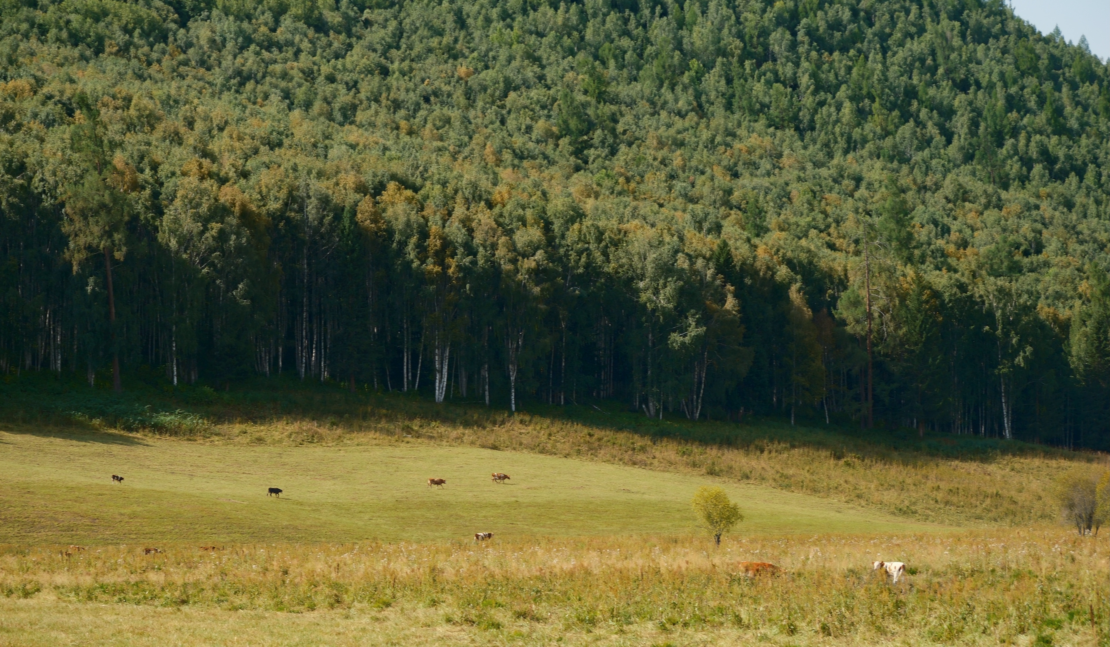 8 from the mountains photography series.