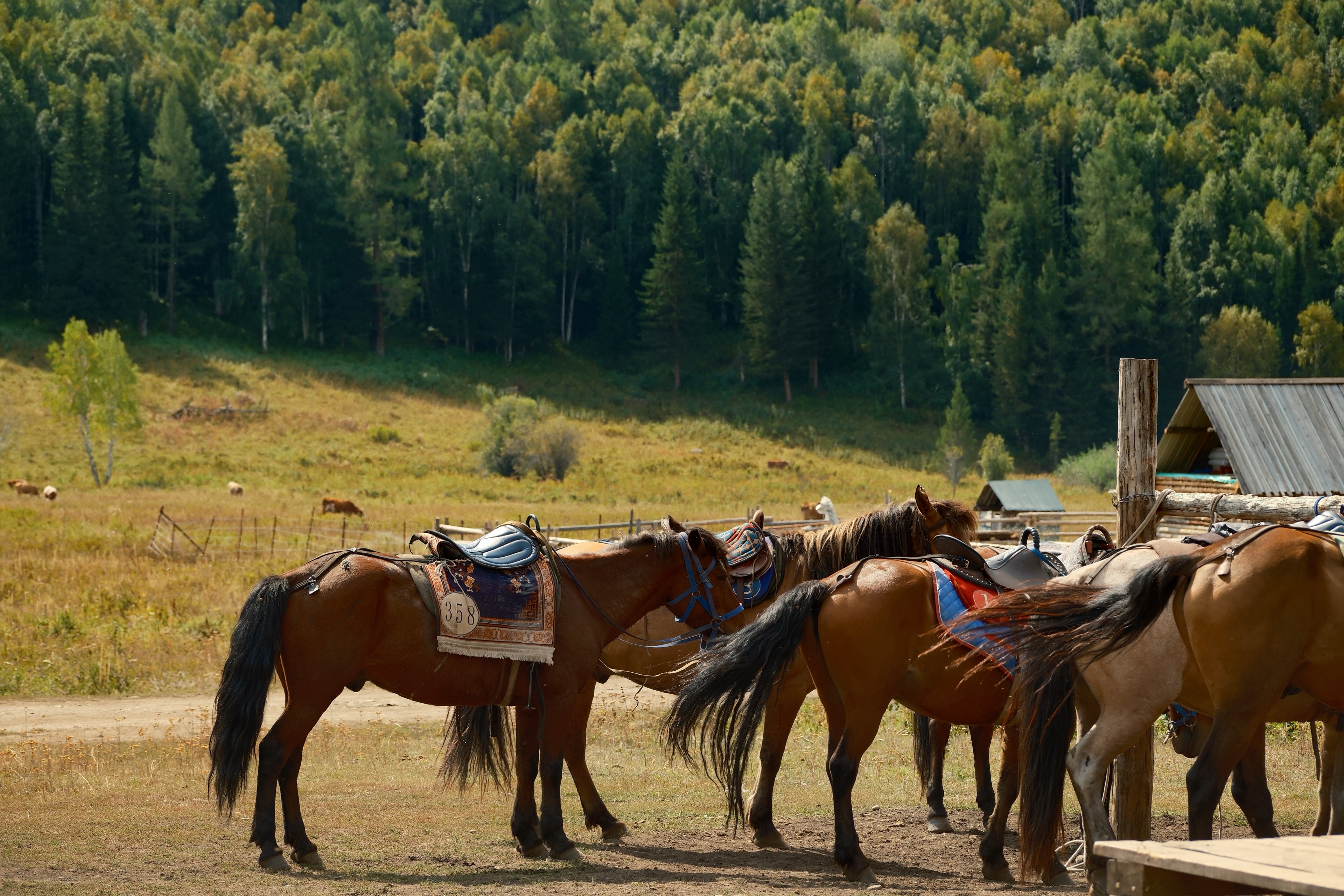 2 from the others photography series.