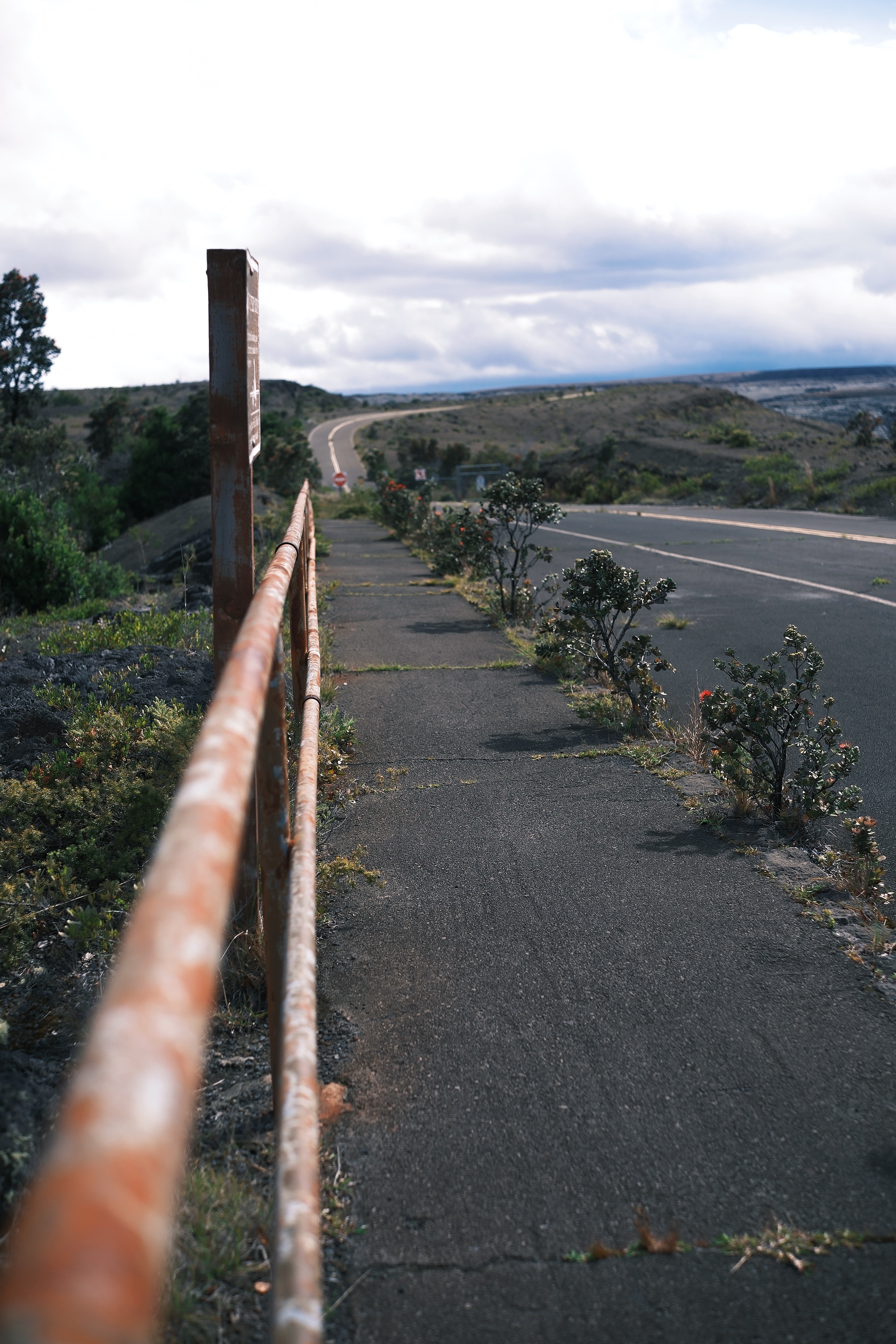 23 from the others photography series.