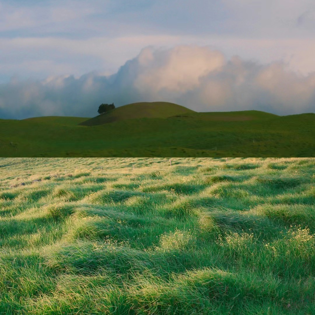 28 from the others photography series.