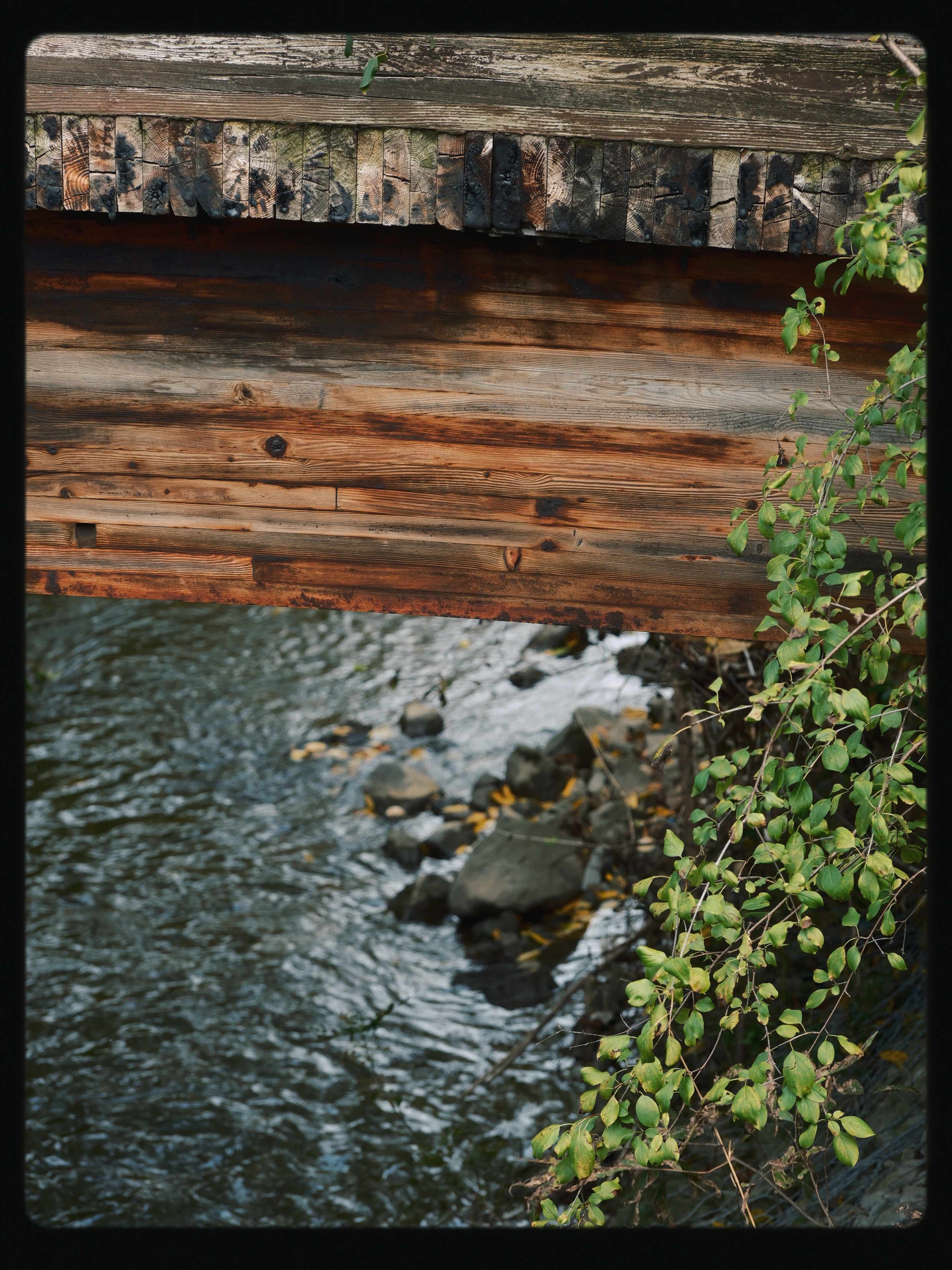 3 from the others photography series.