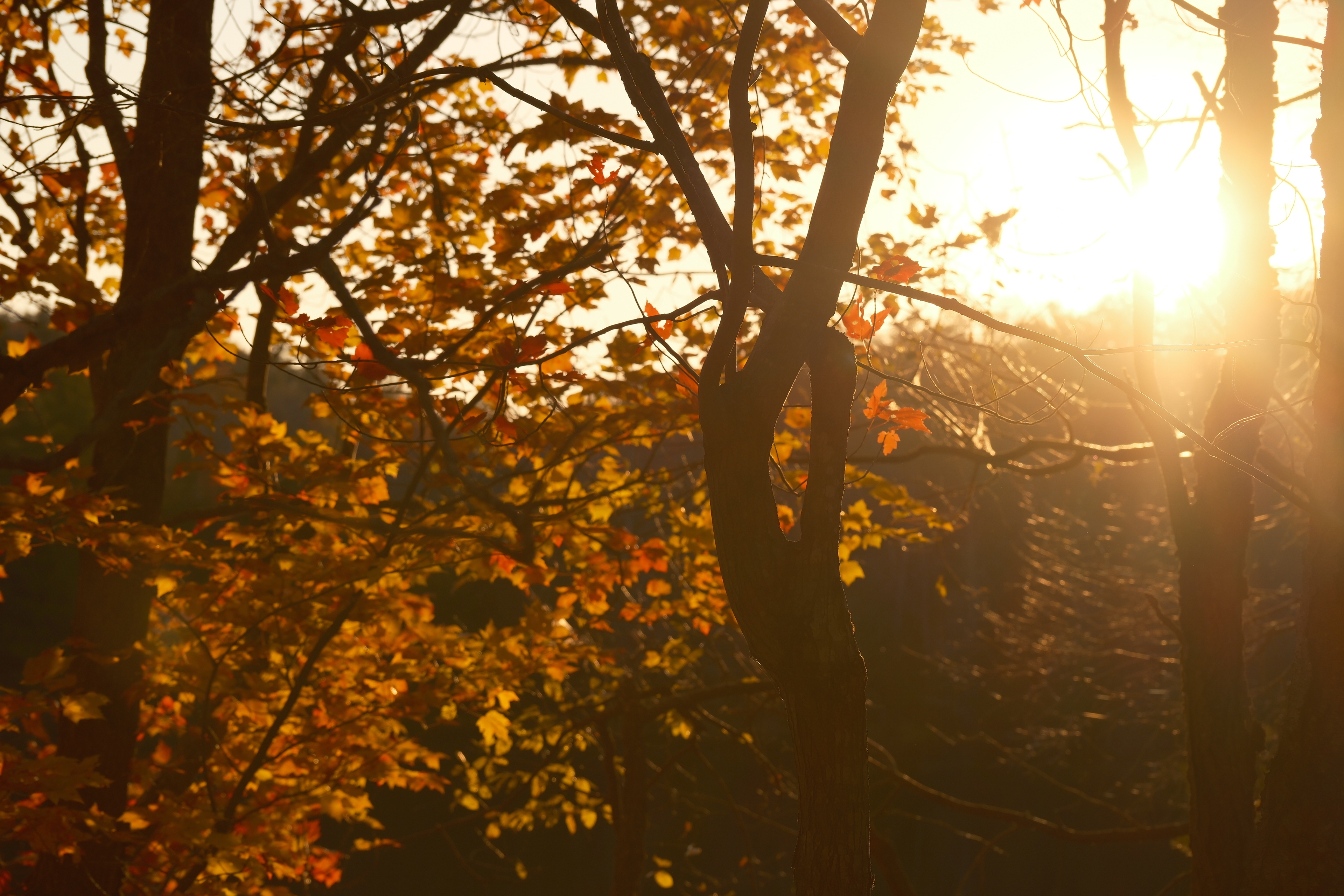 13 from the seasons photography series.