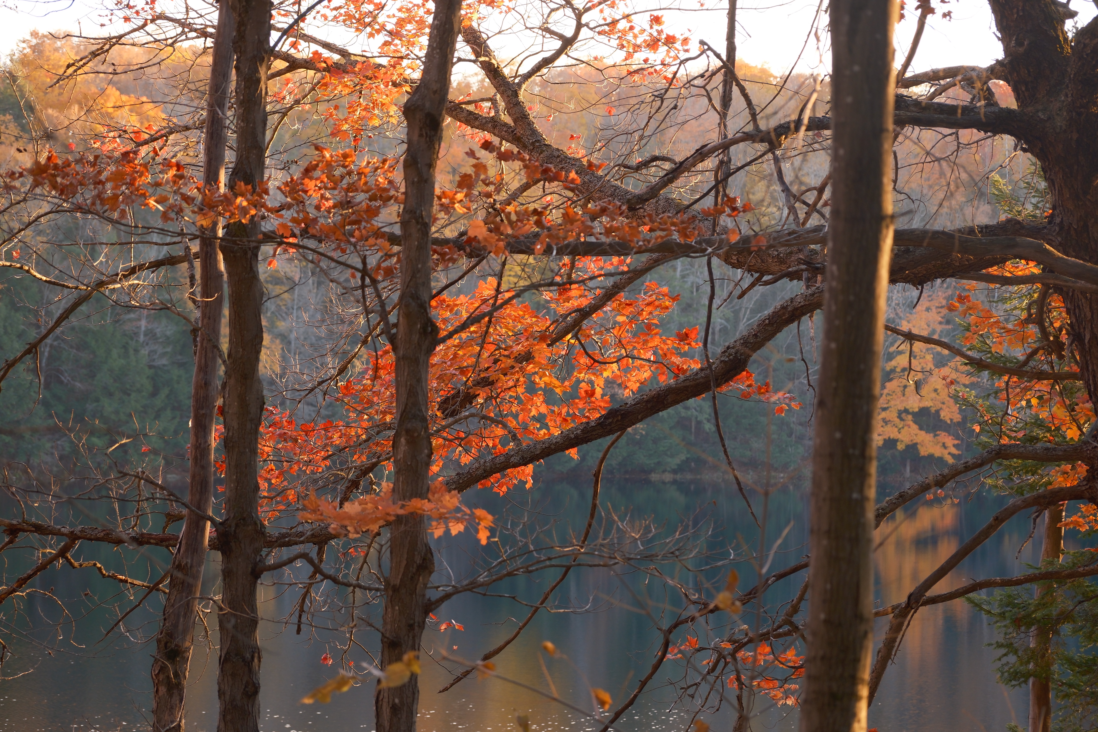 14 from the seasons photography series.