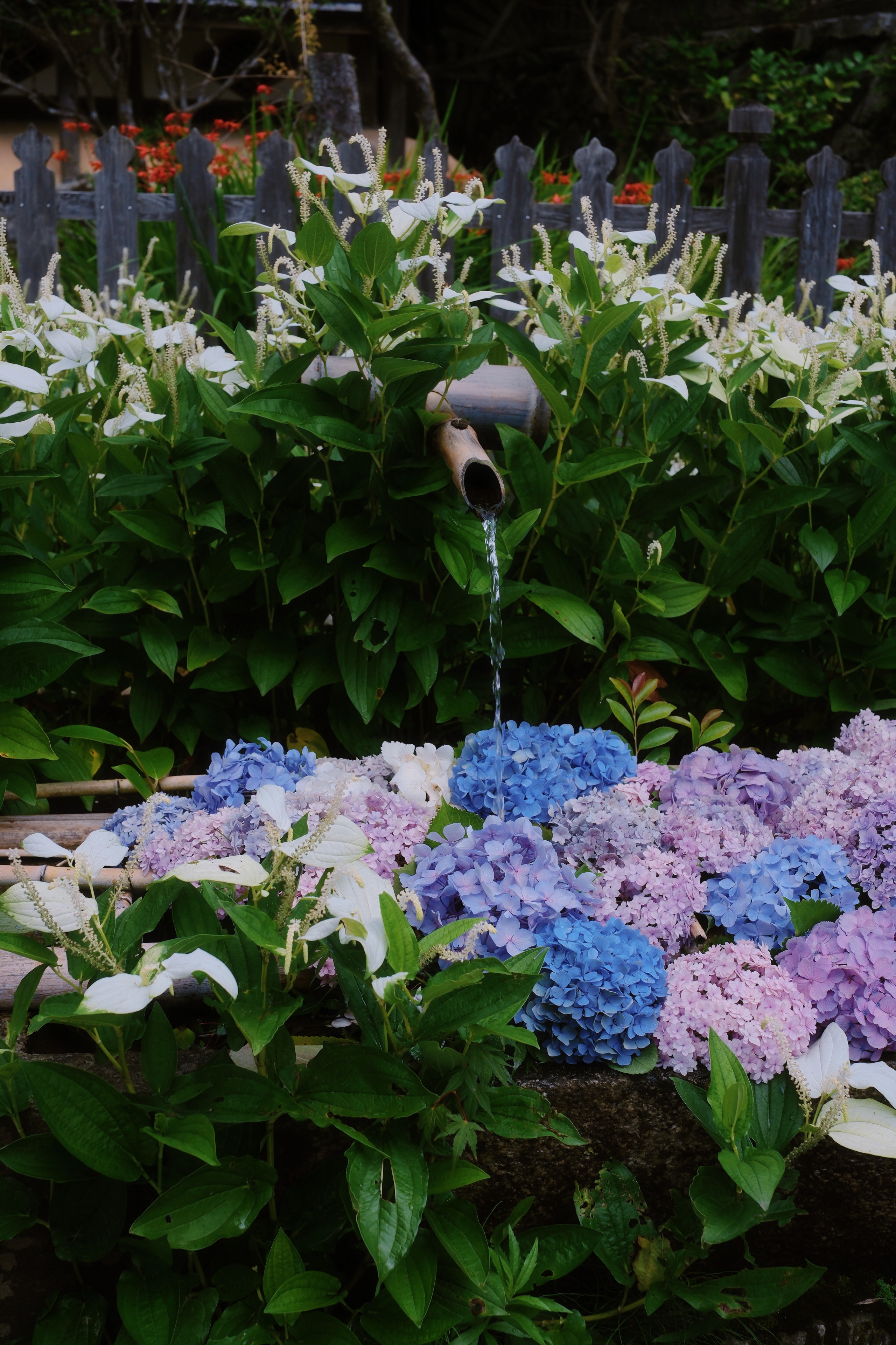 15 from the seasons photography series.