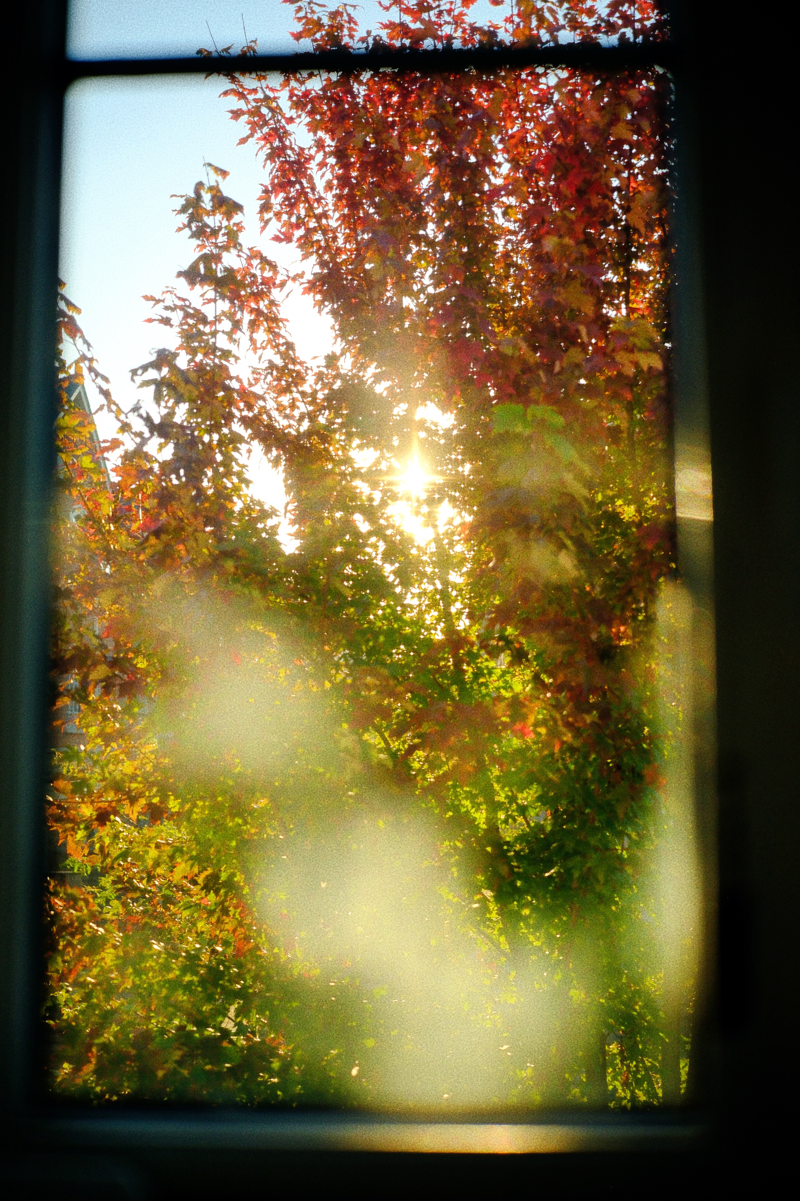 16 from the seasons photography series.