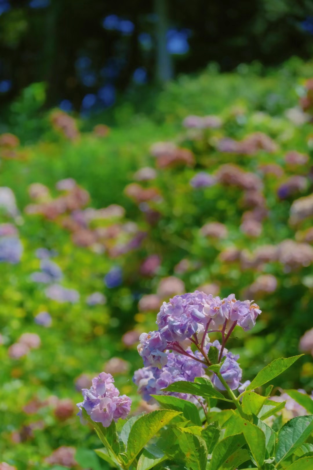 17 from the seasons photography series.