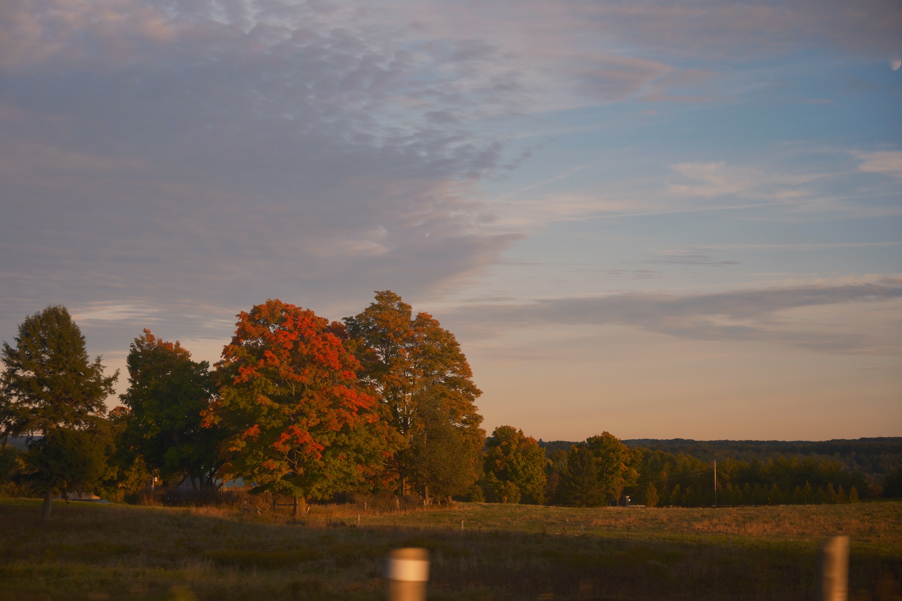 19 from the seasons photography series.