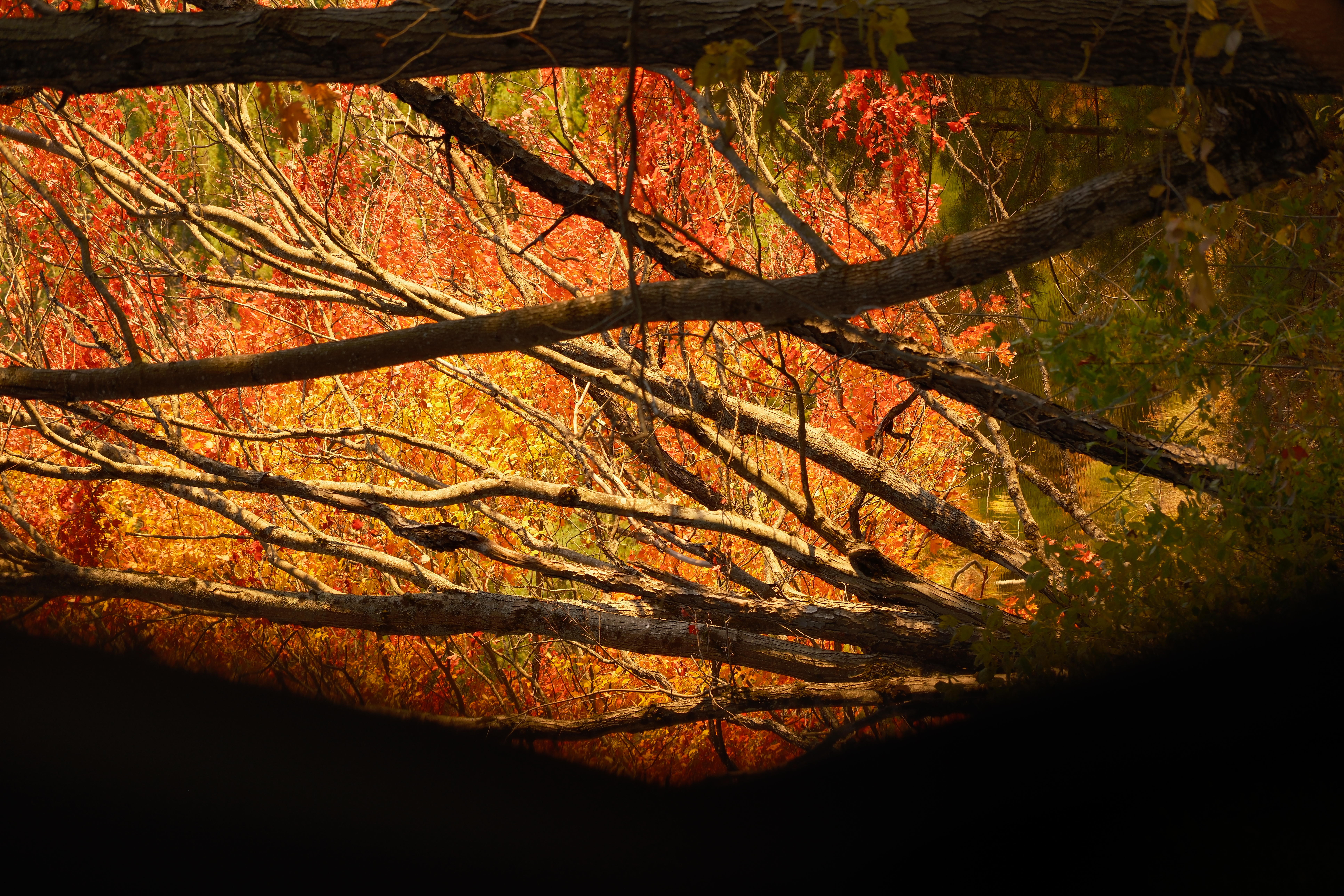 20 from the seasons photography series.