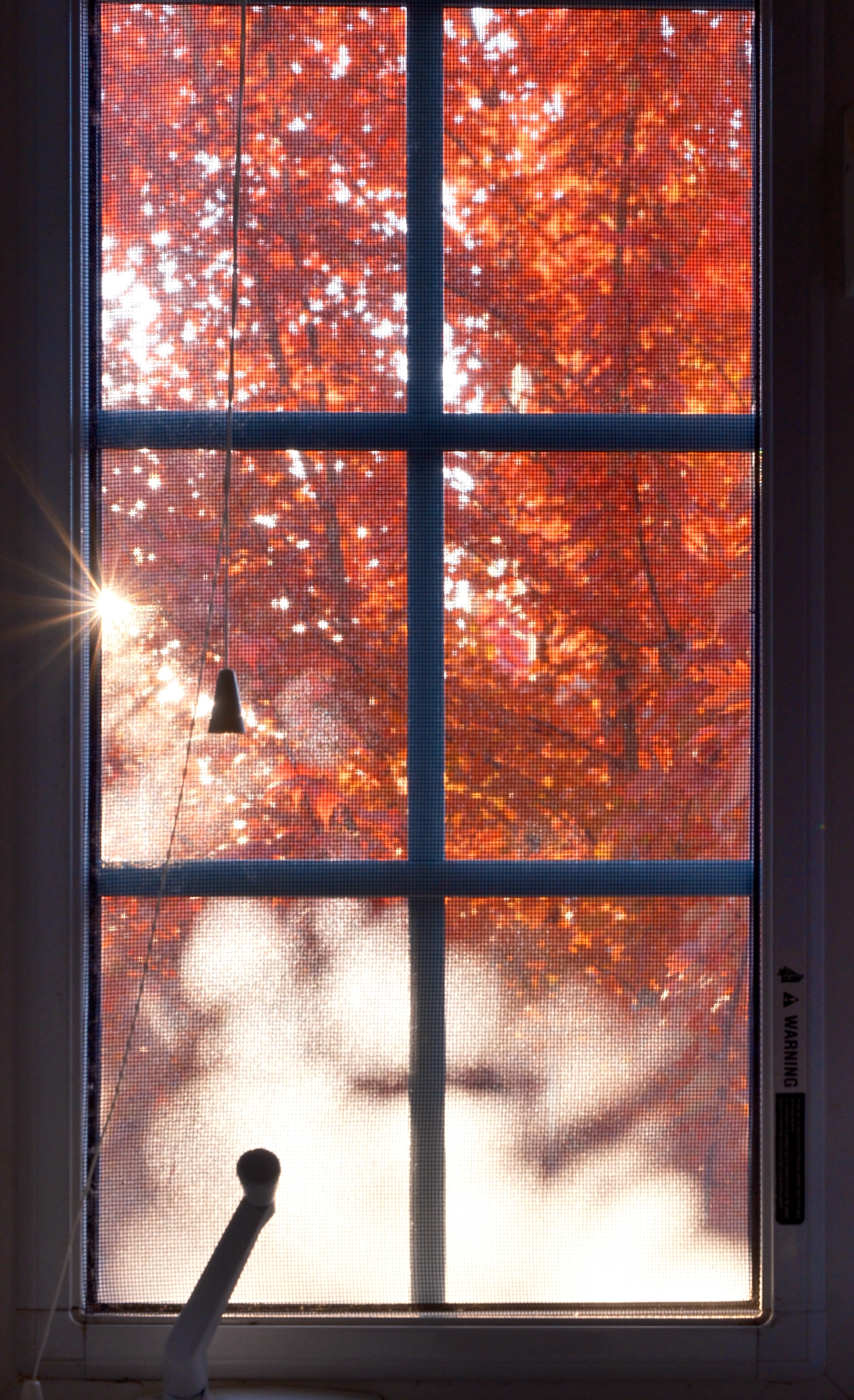 21 from the seasons photography series.