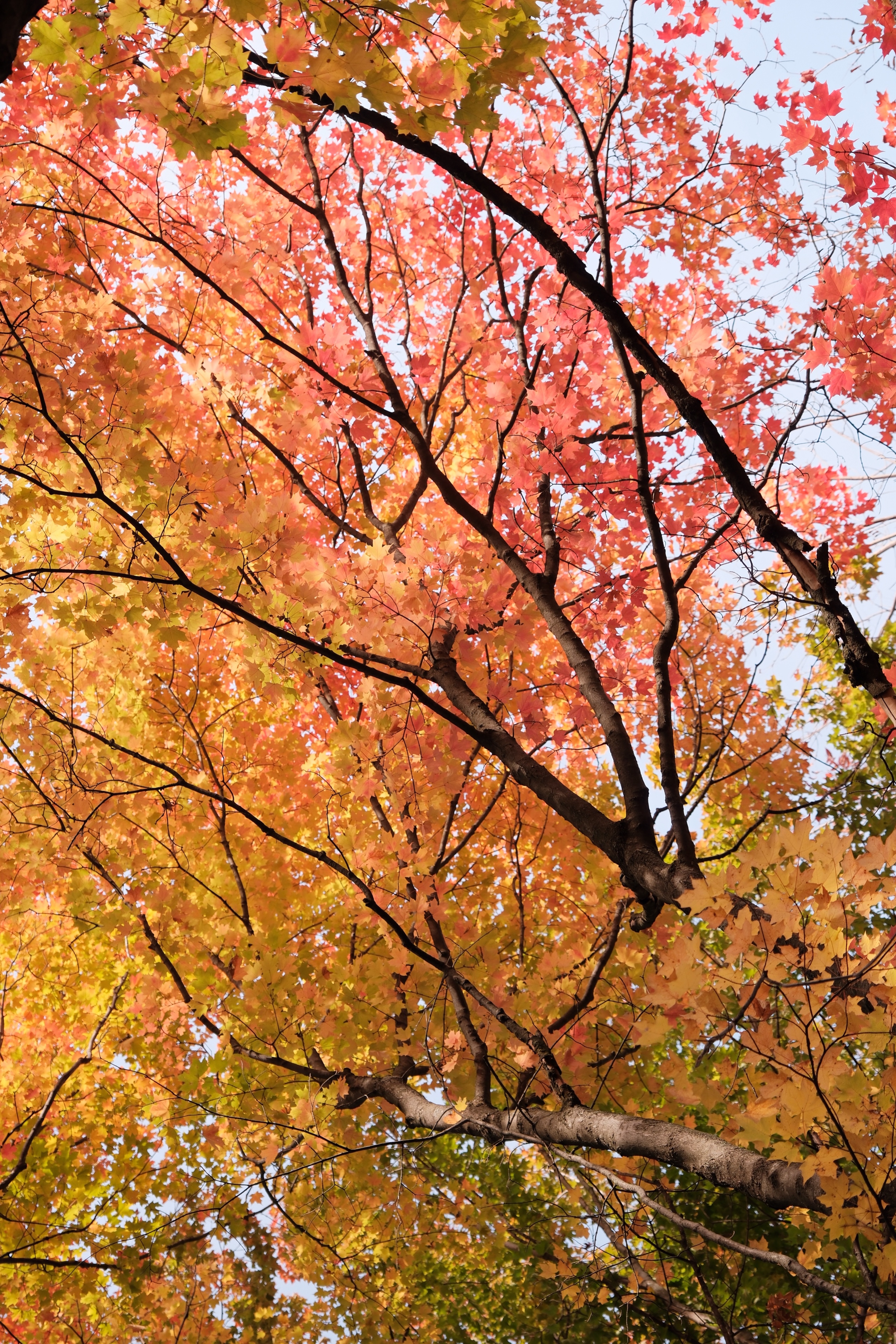 22 from the seasons photography series.