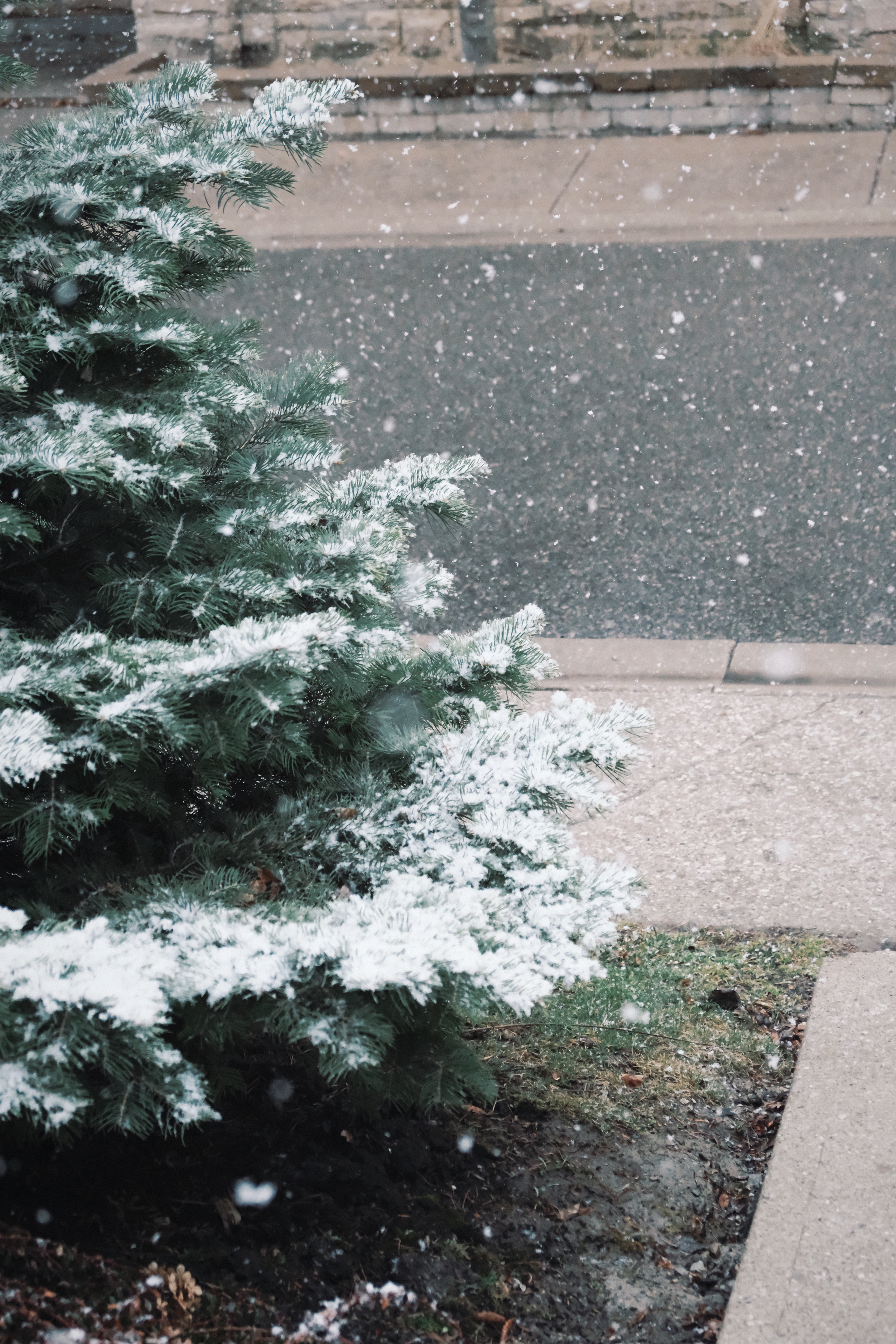 23 from the seasons photography series.