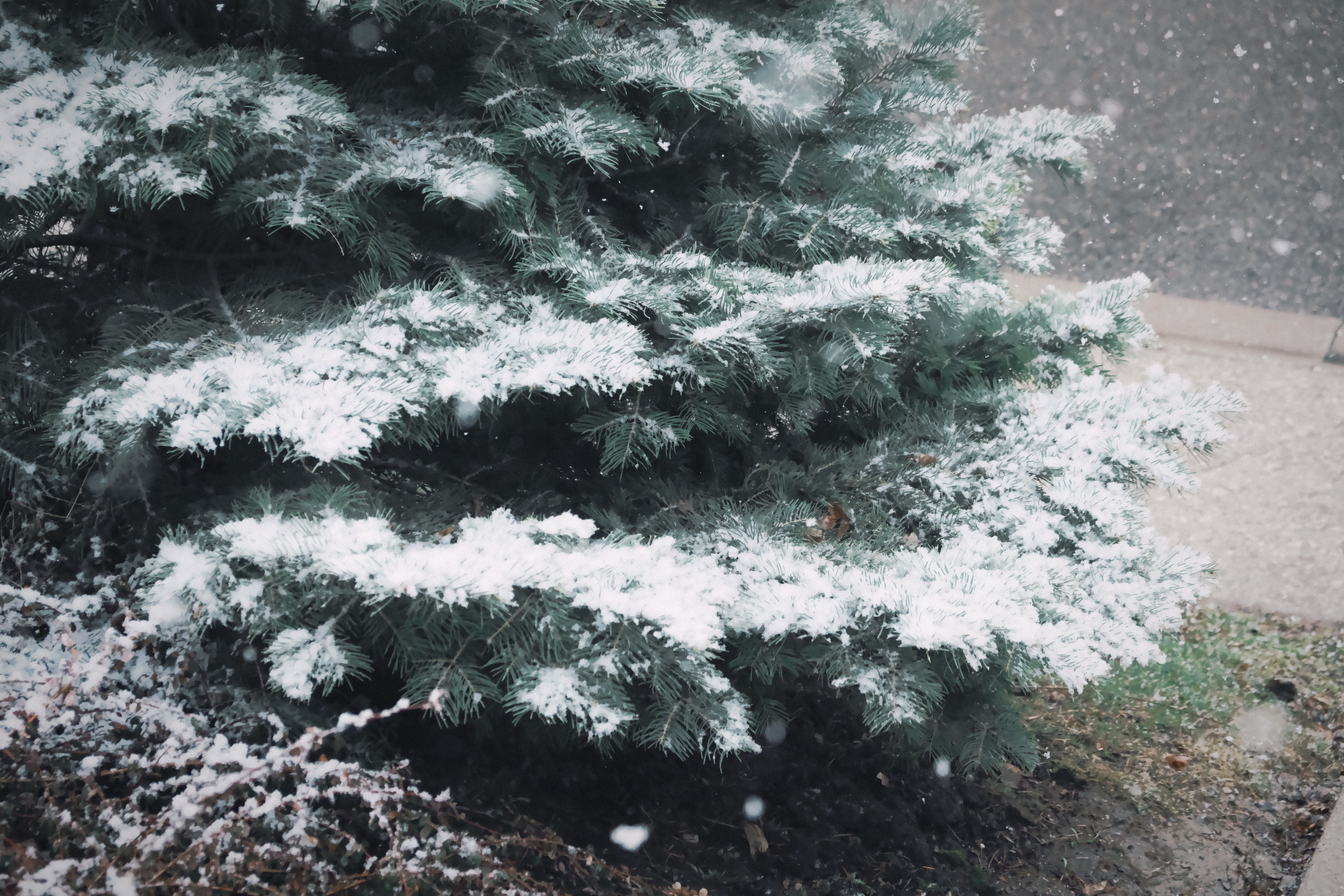 24 from the seasons photography series.