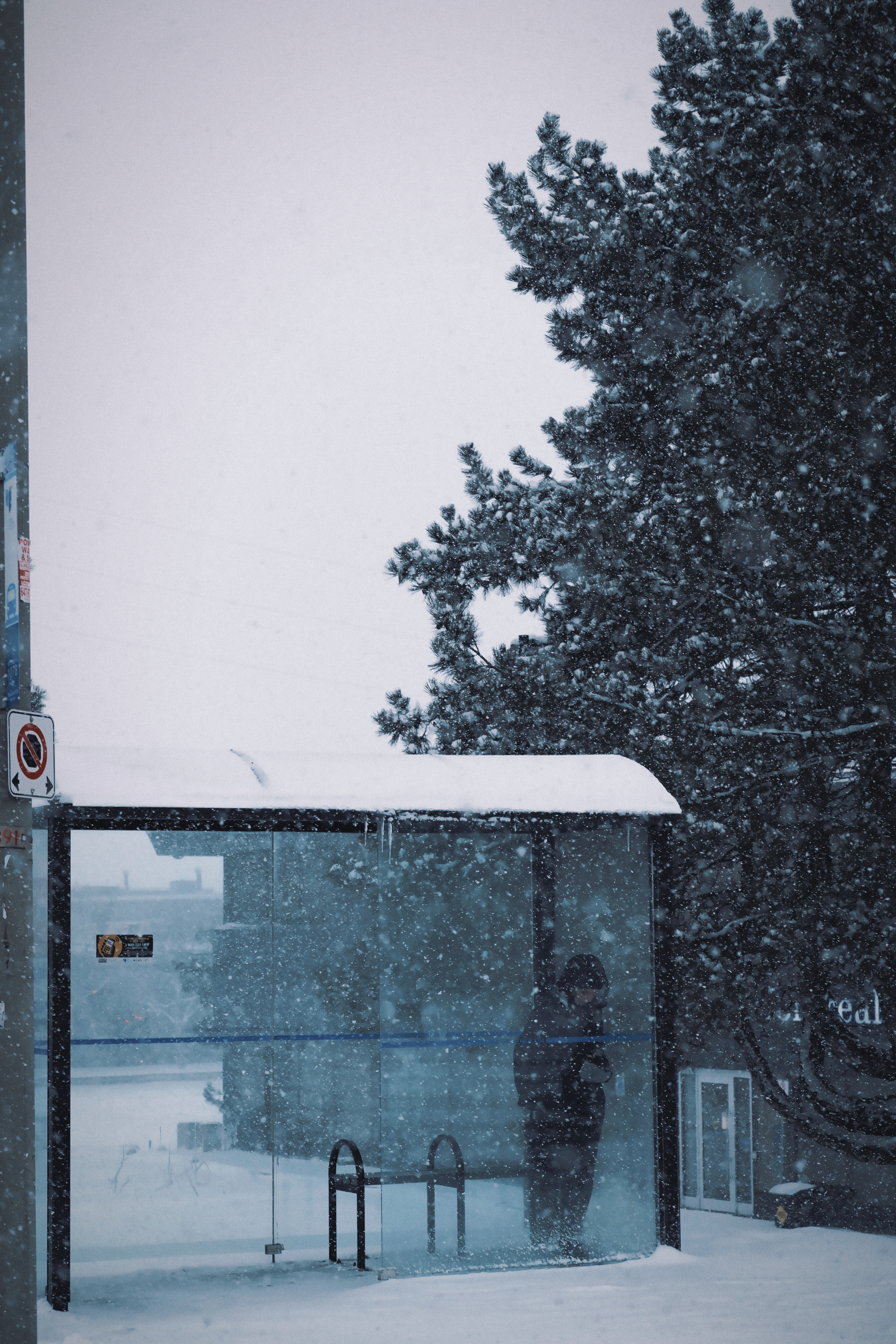 28 from the seasons photography series.