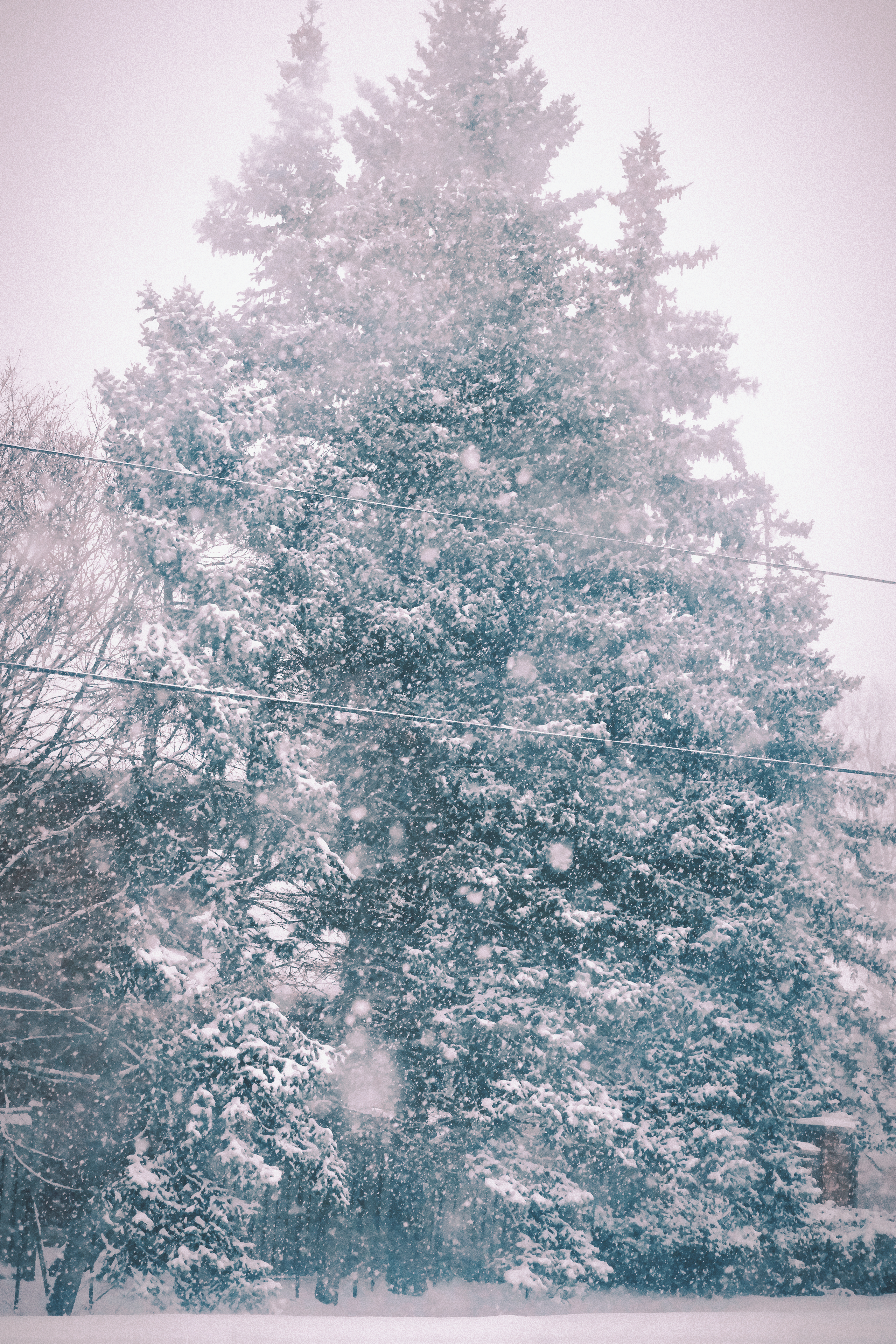 29 from the seasons photography series.