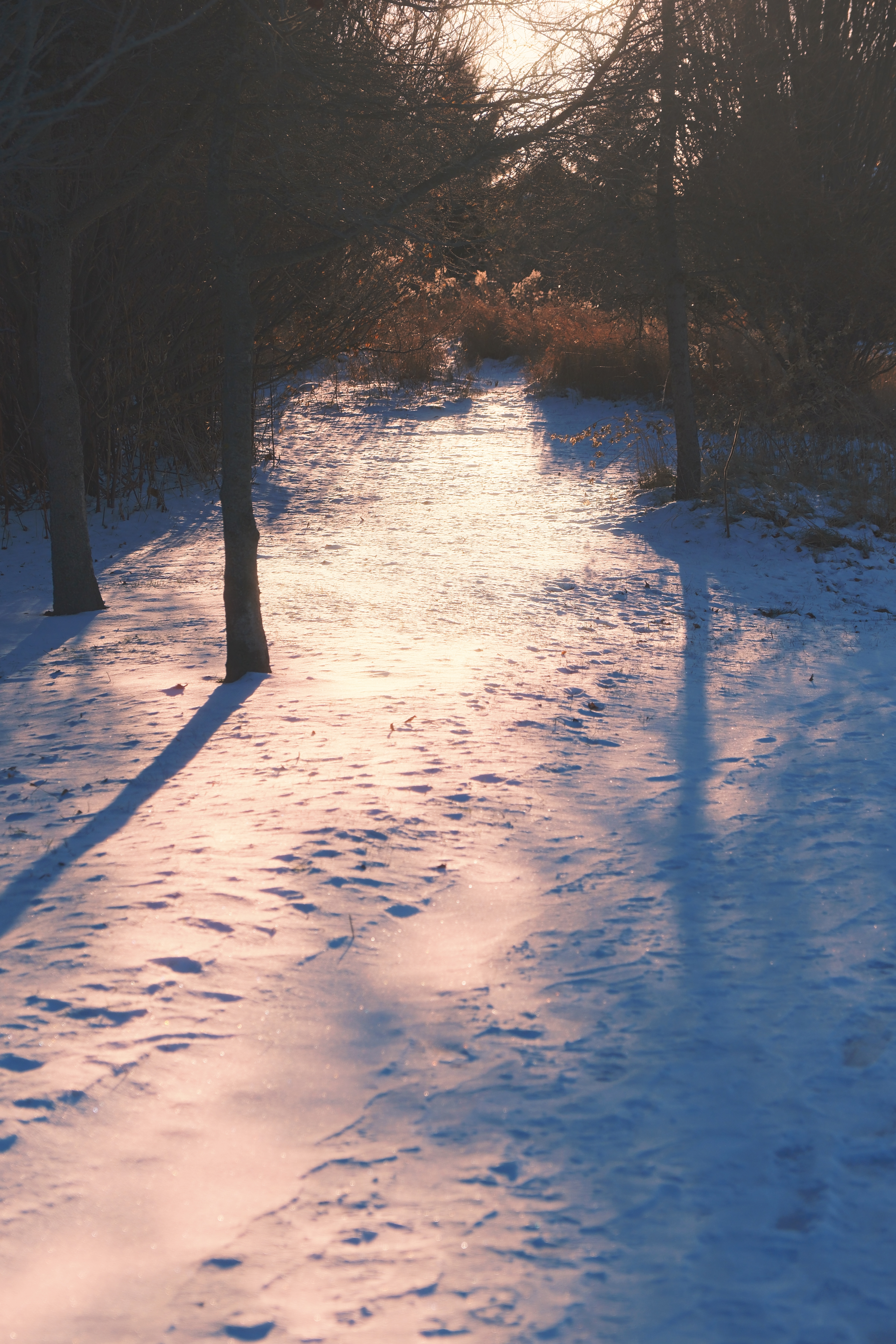 4 from the seasons photography series.