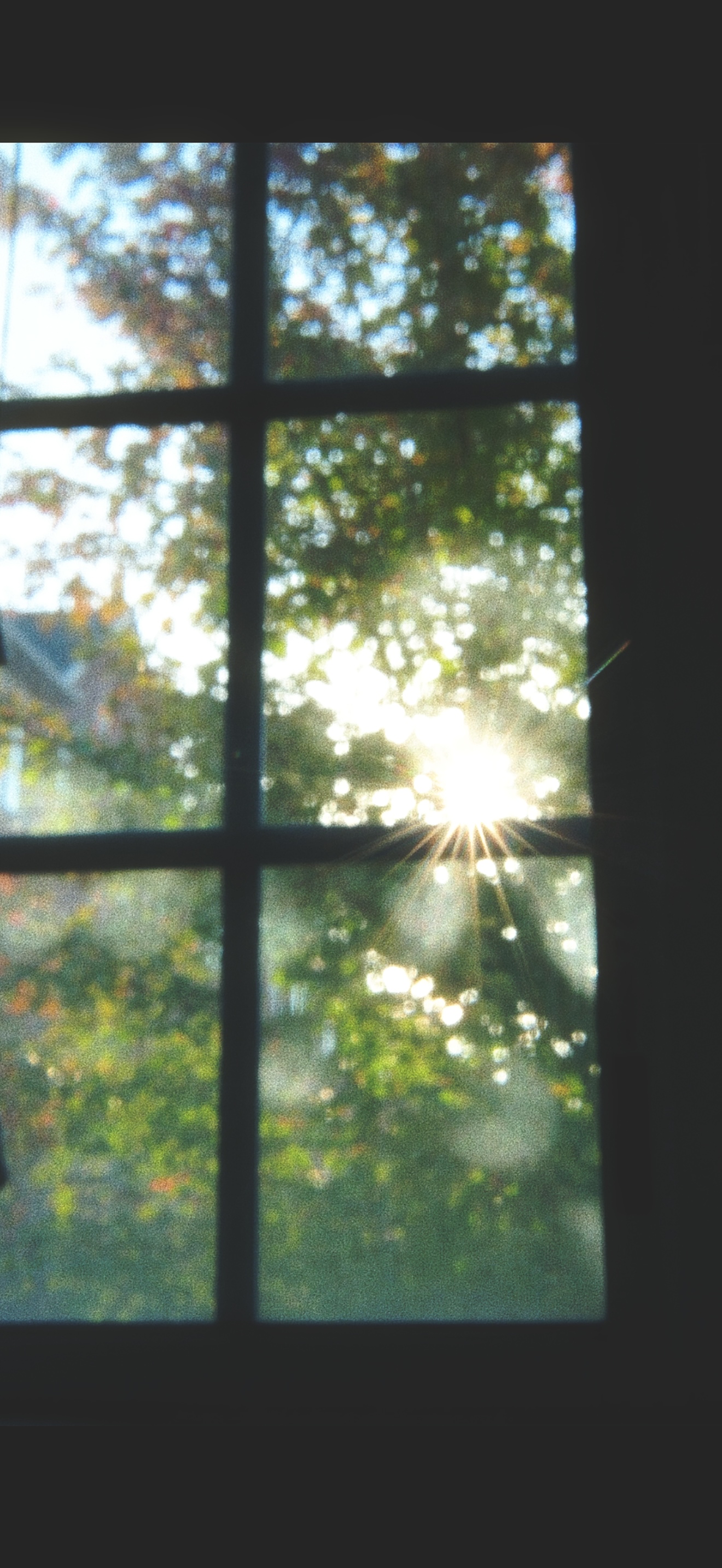 6 from the seasons photography series.