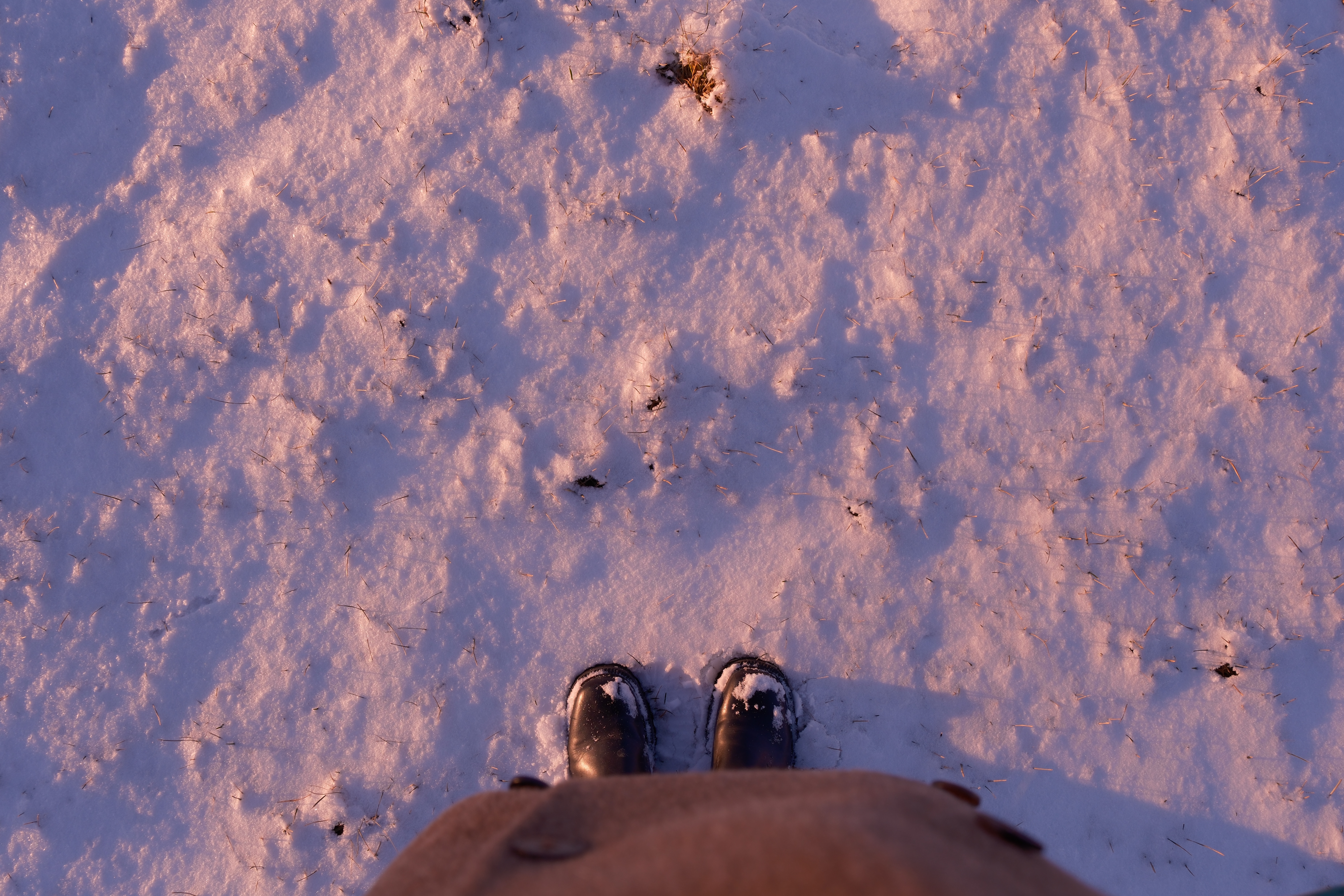 7 from the seasons photography series.