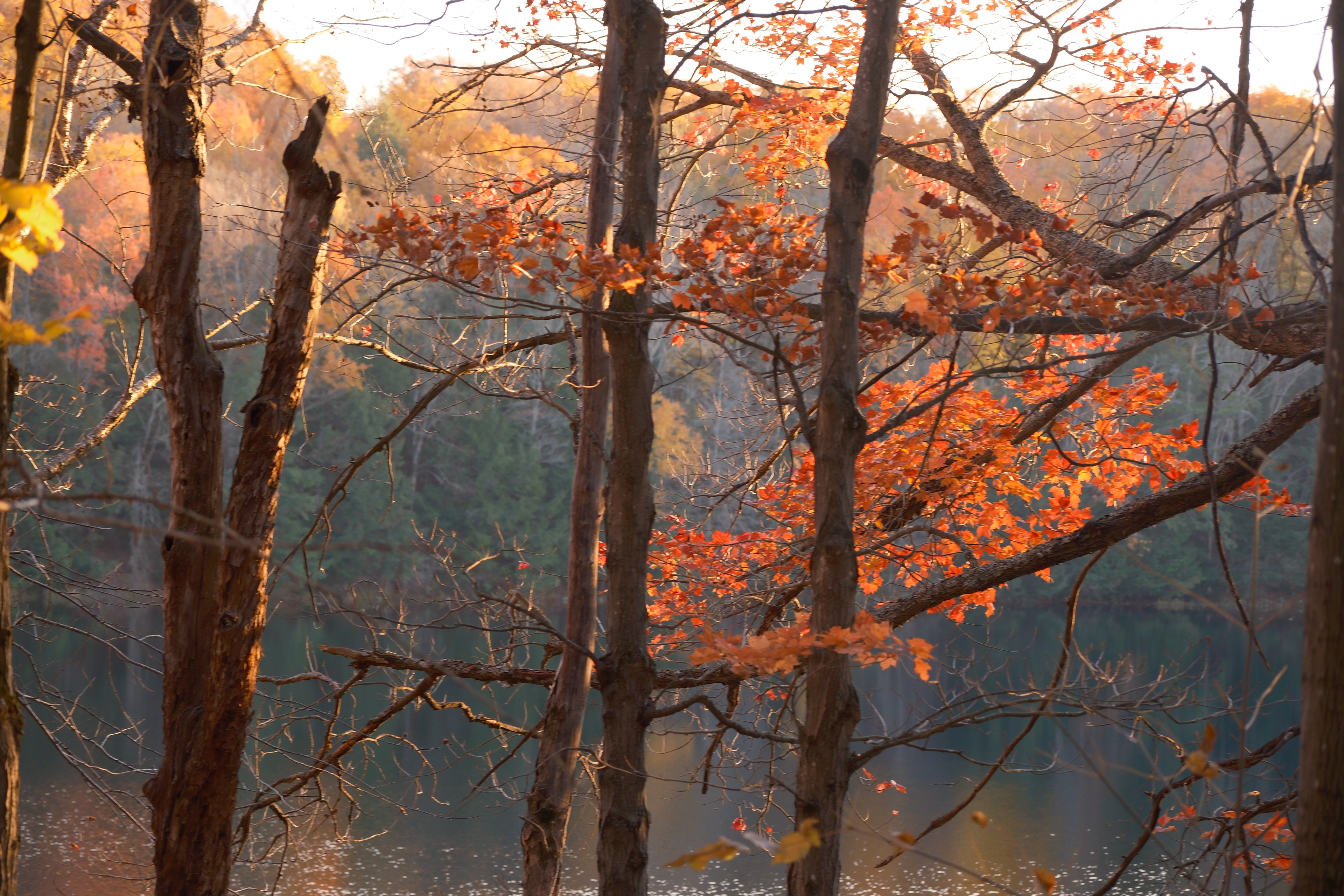 9 from the seasons photography series.