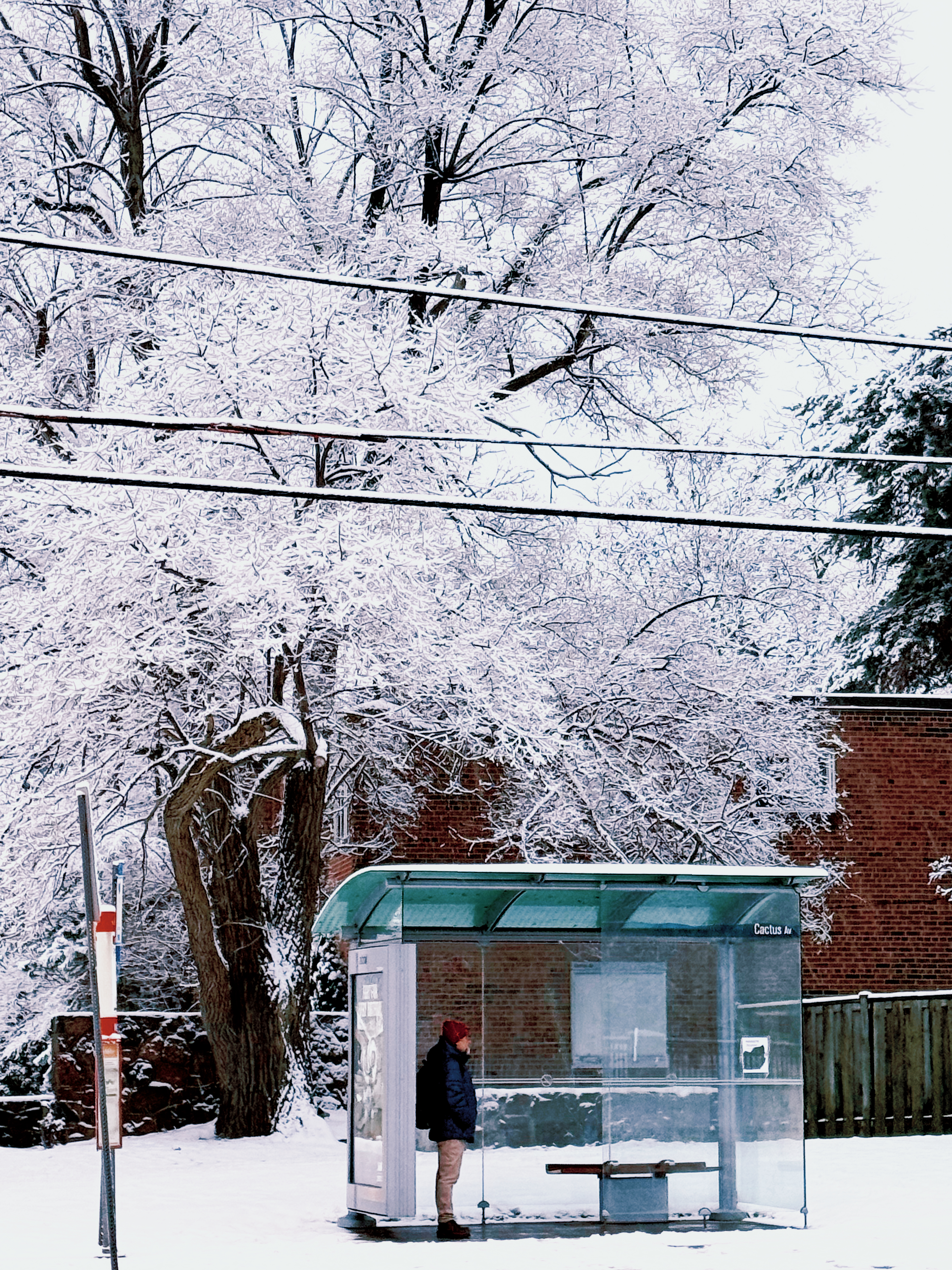 preview_2 from the seasons photography series.