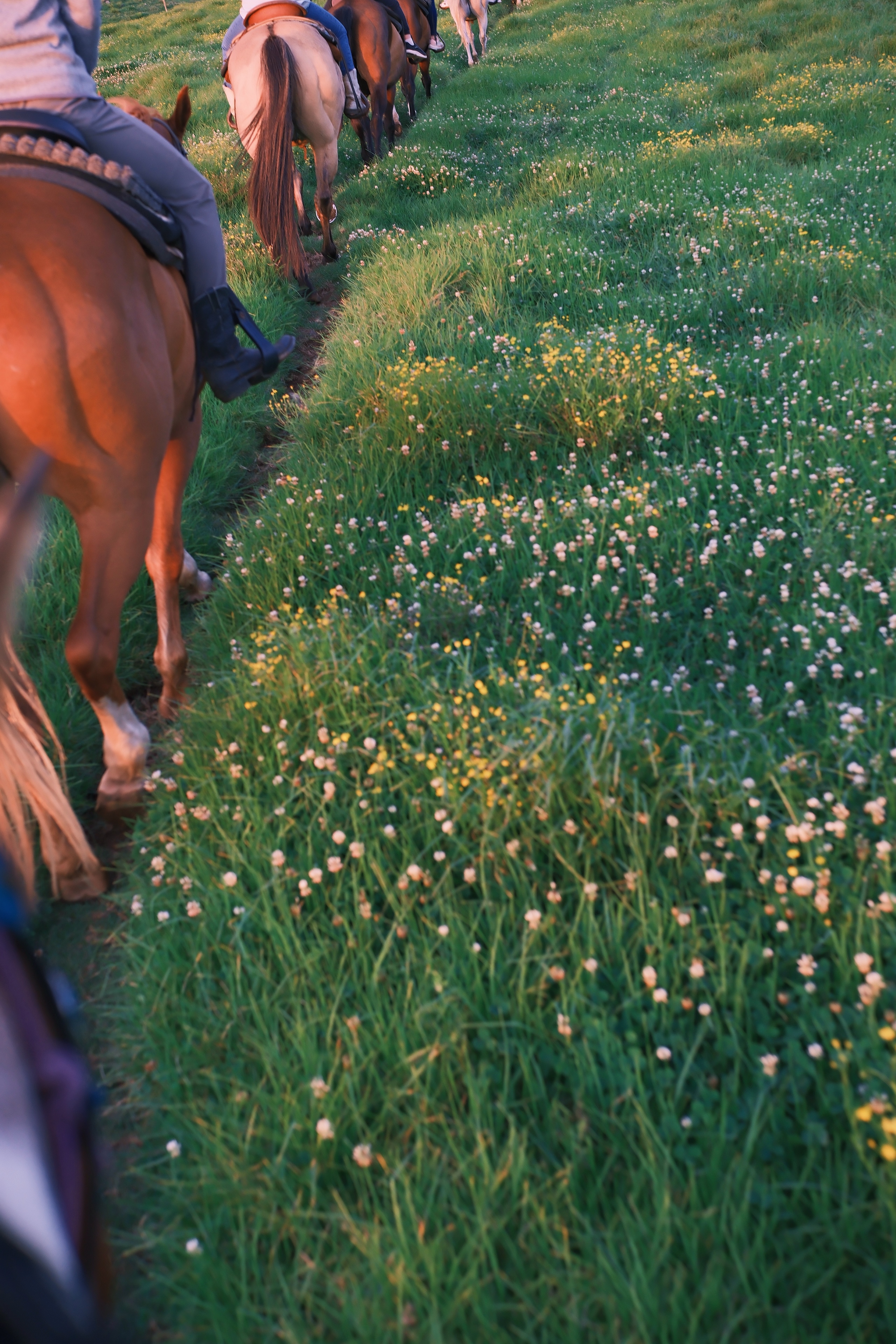 preview_3 from the seasons photography series.