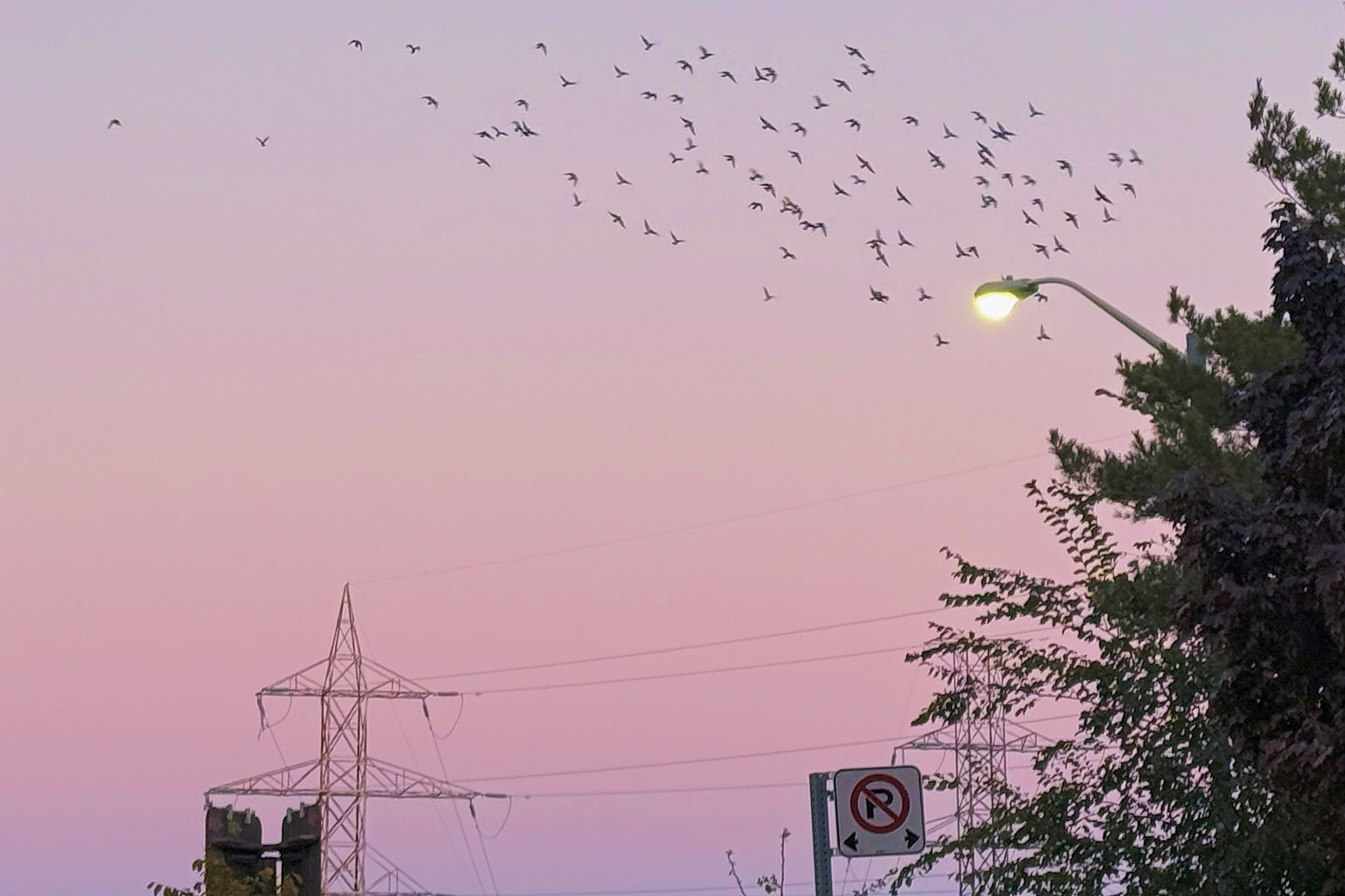 15 from the sky photography series.