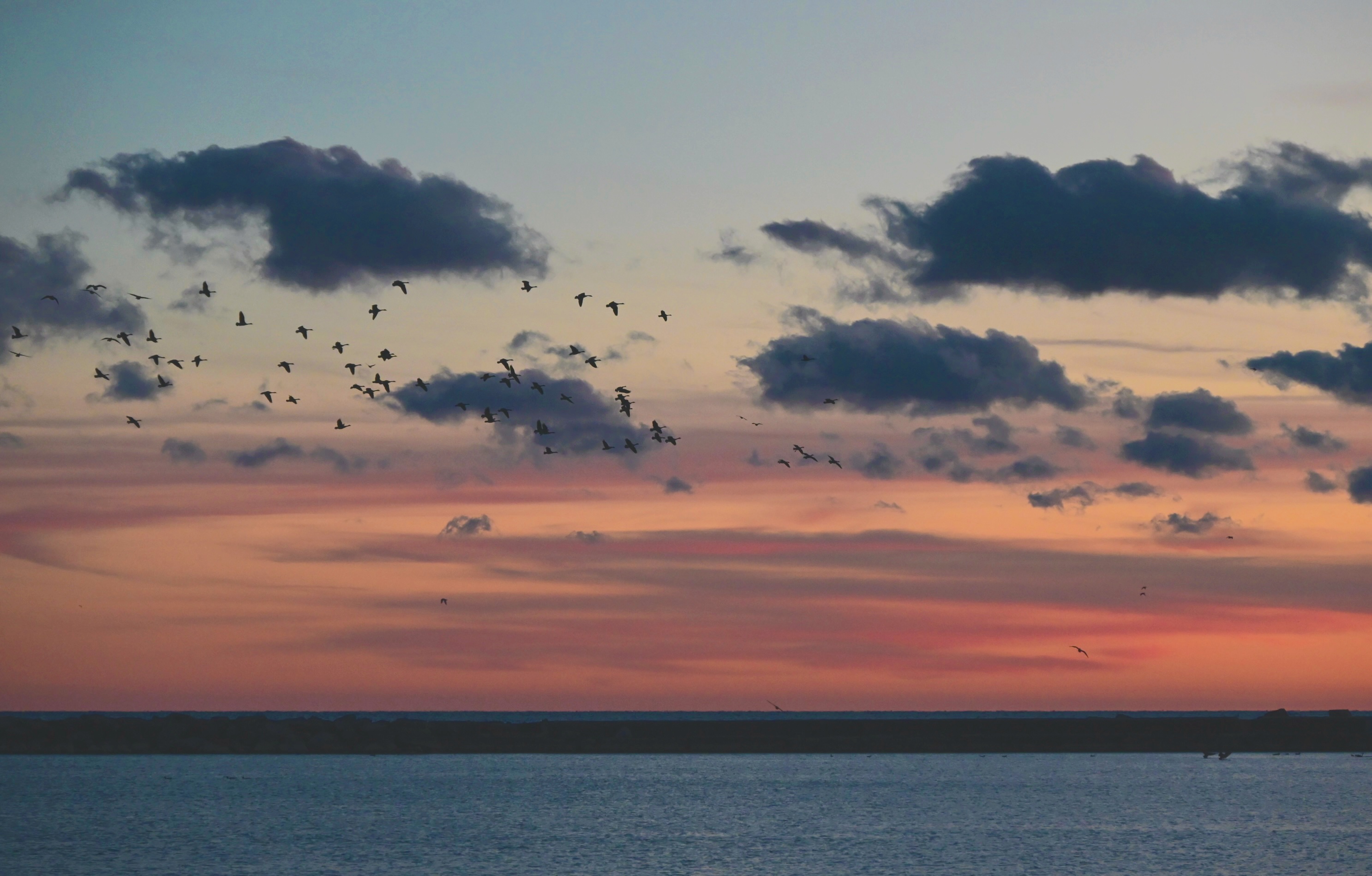 preview_1 from the sky photography series.