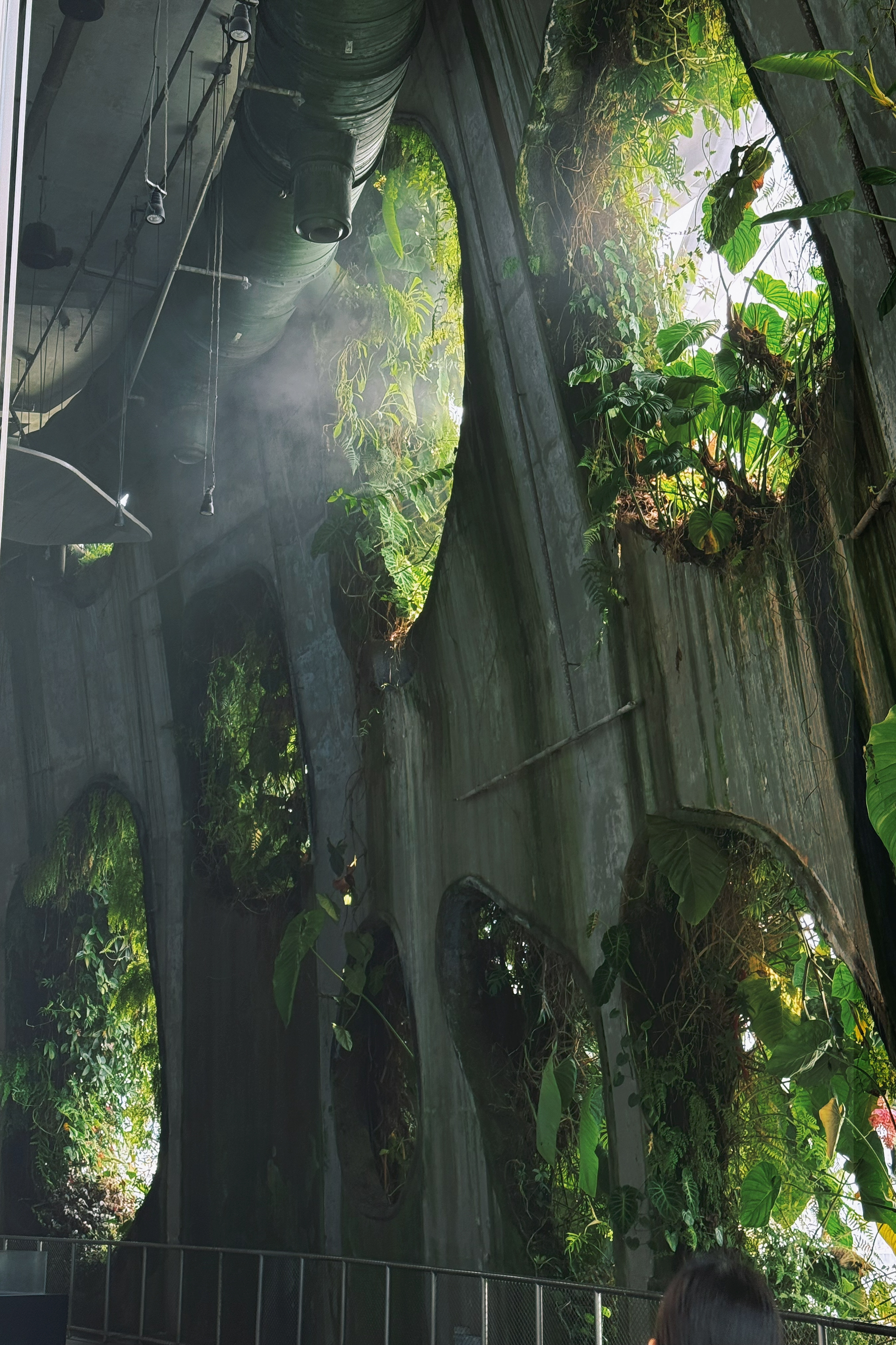 34 from the trees photography series.