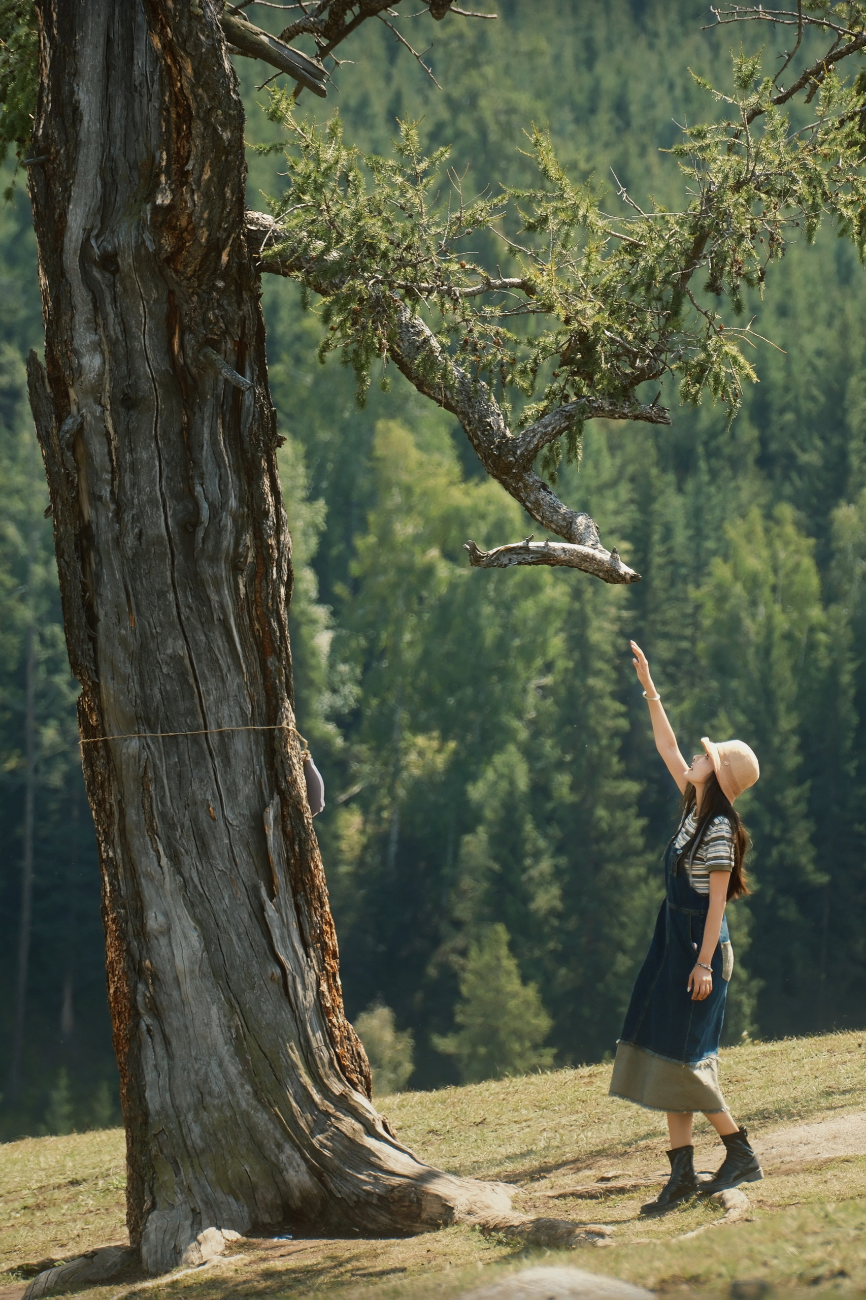 9 from the trees photography series.